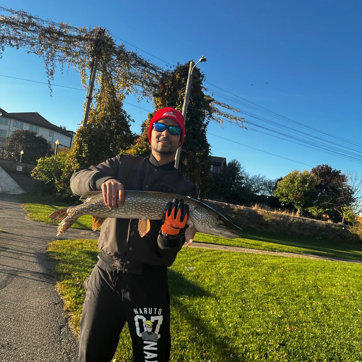 catch