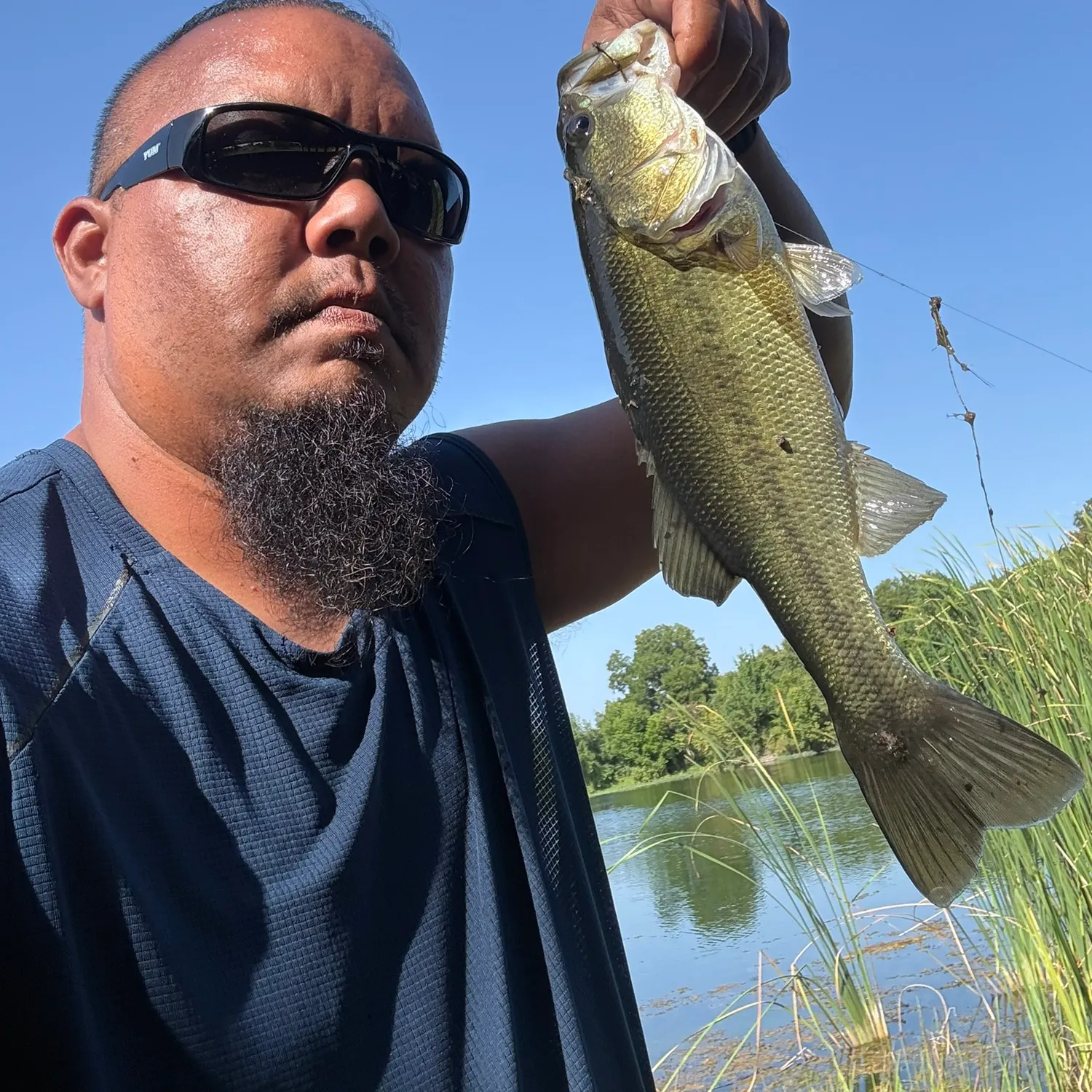 Largemouth bass caught on Fishbrain