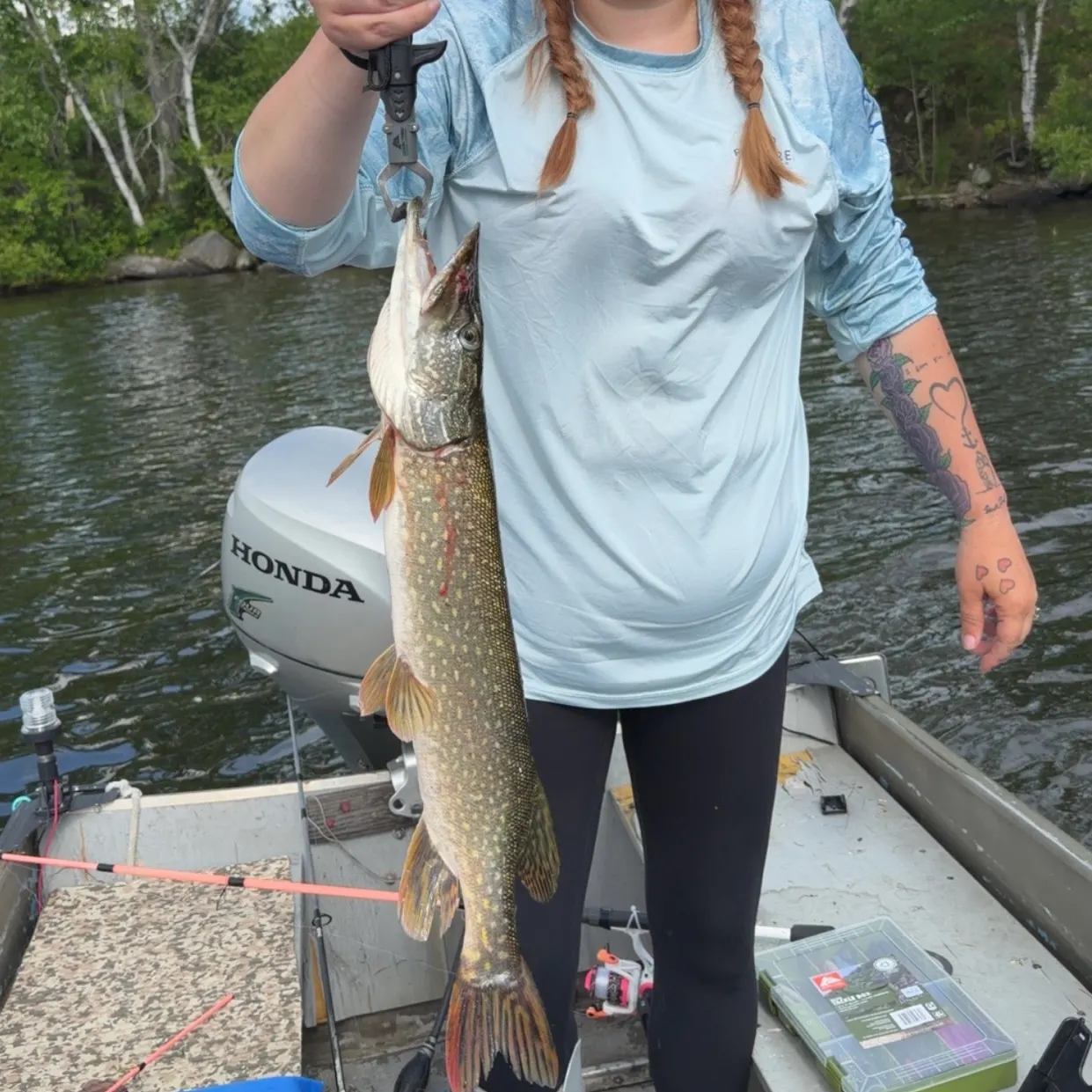 recently logged catches