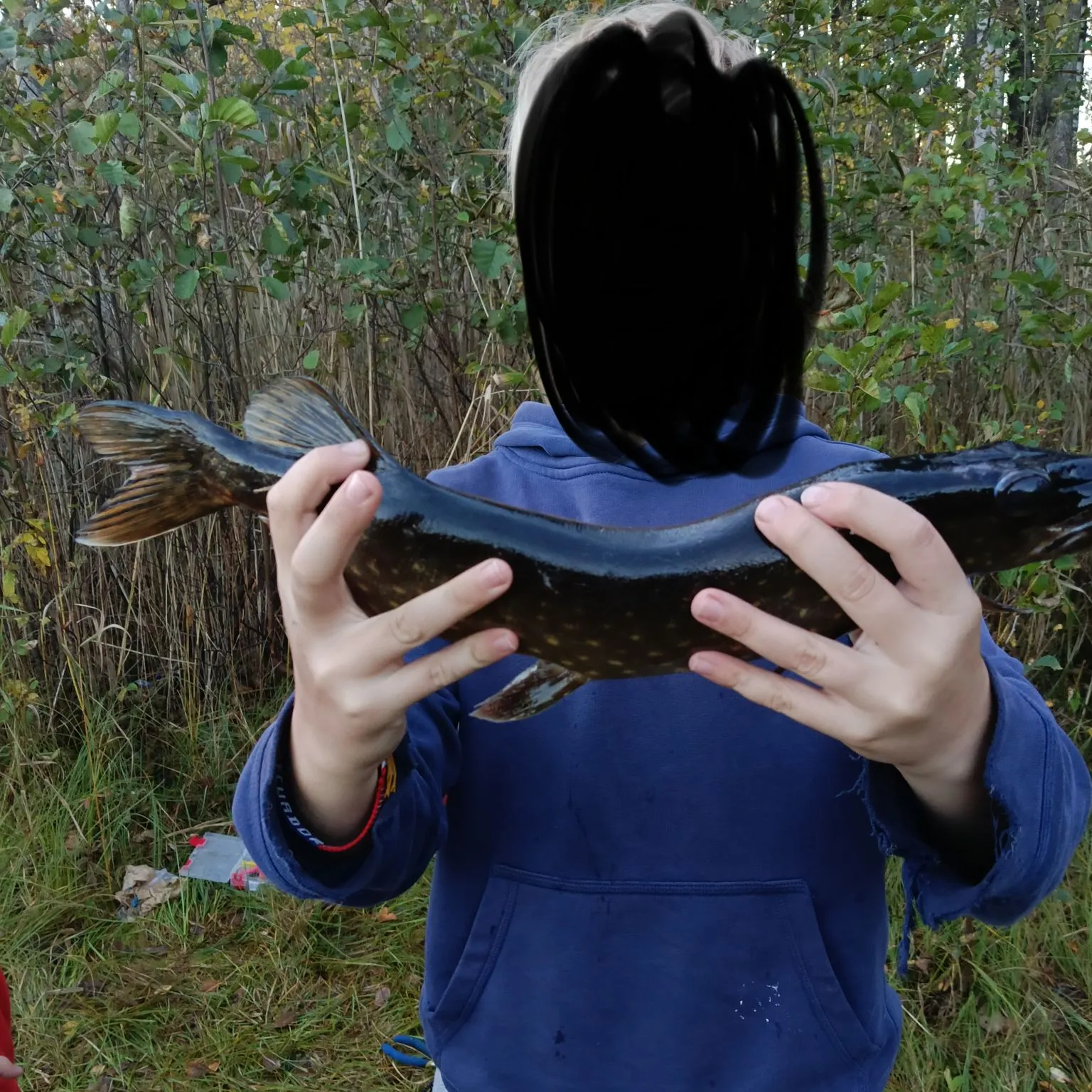 Northern pike caught on Fishbrain