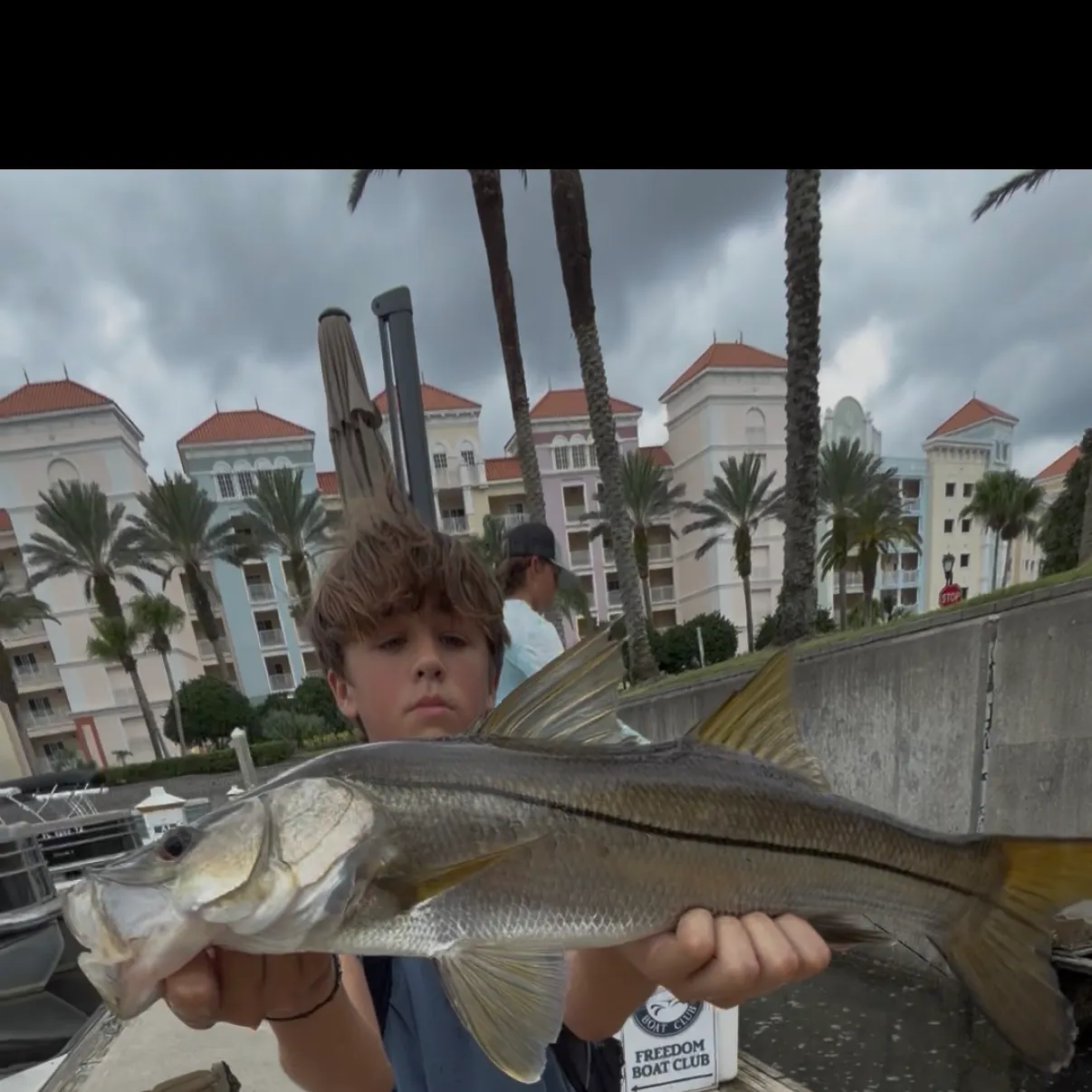 Common snook caught on Fishbrain