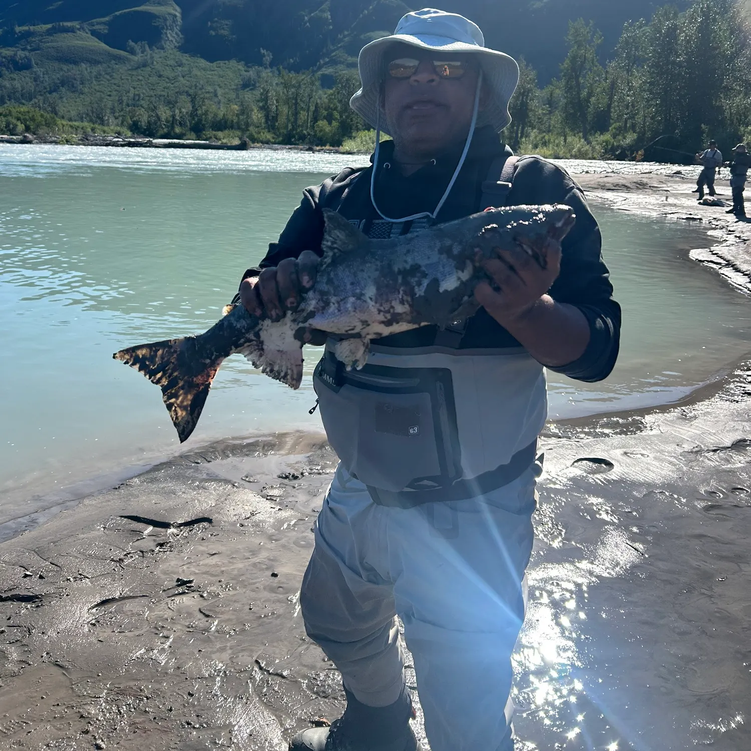 The most recent Chum salmon catches on Fishbrain
