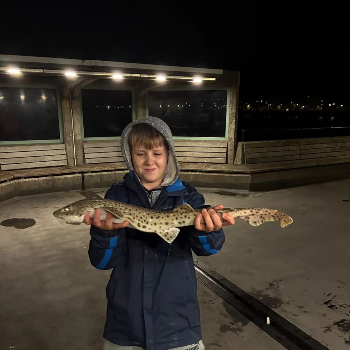 The most recent Lesser spotted dogfish catches on Fishbrain