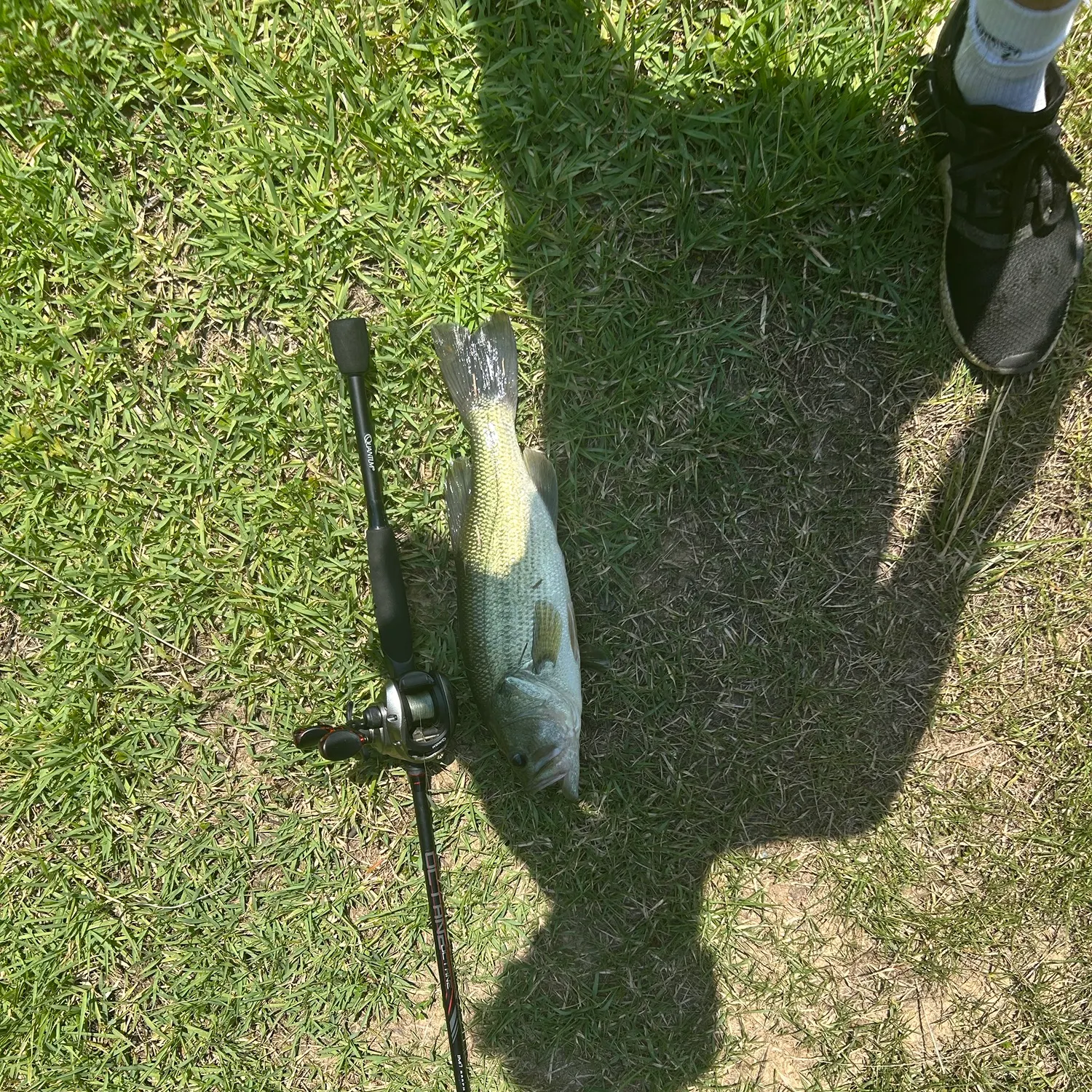 angler catch