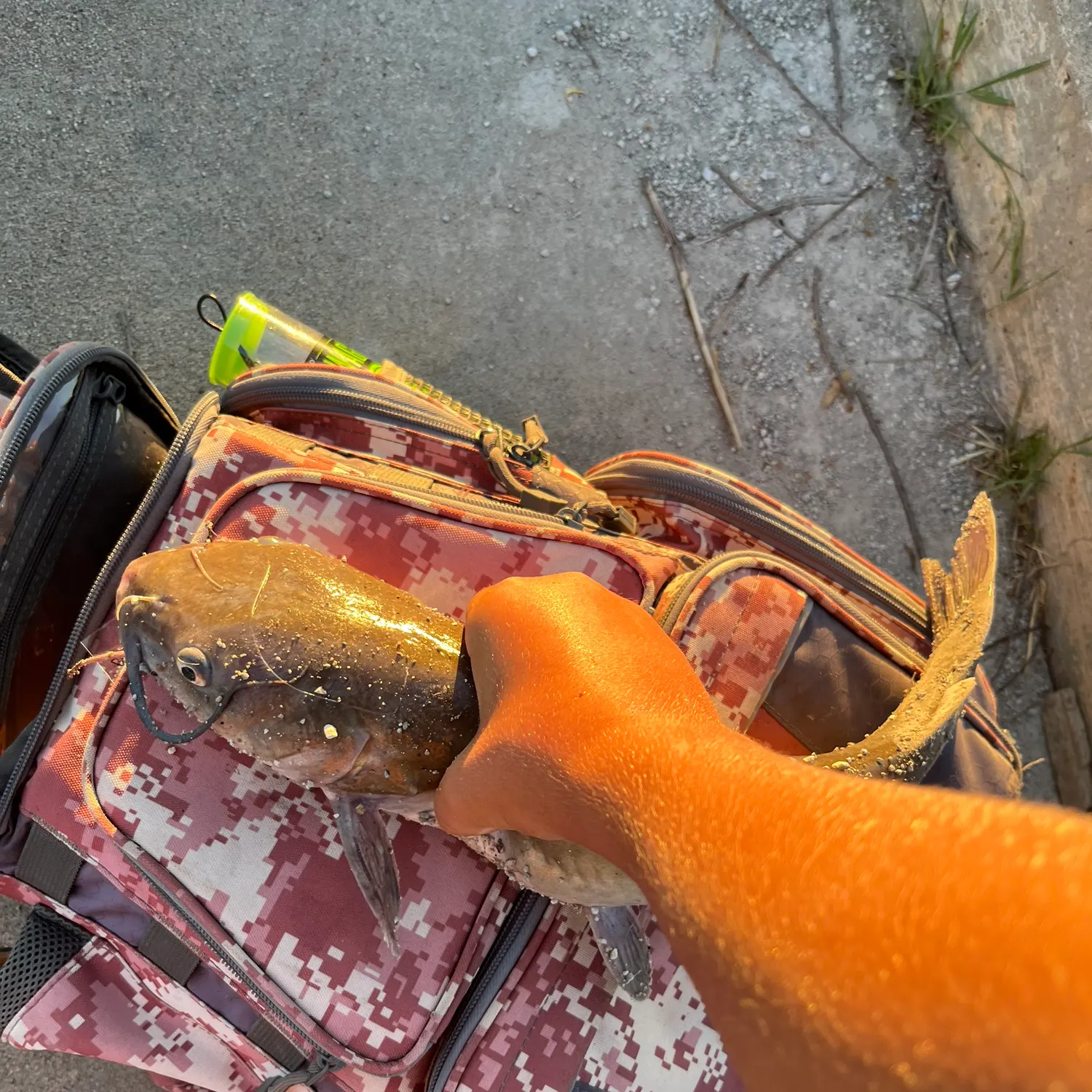 catch