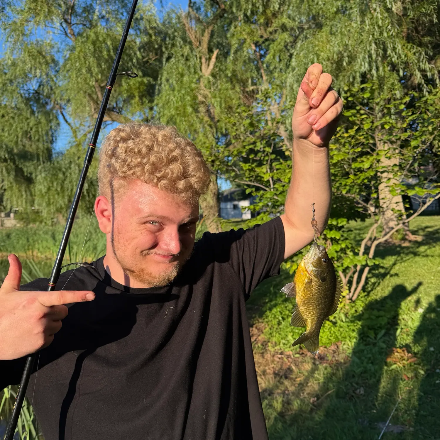 Bluegill caught on Fishbrain