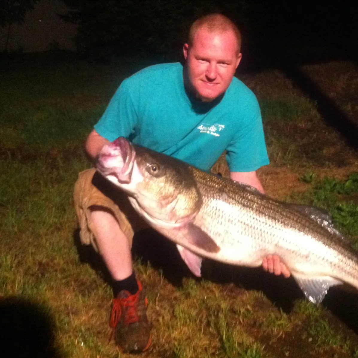 The most recent Striped bass catches on Fishbrain