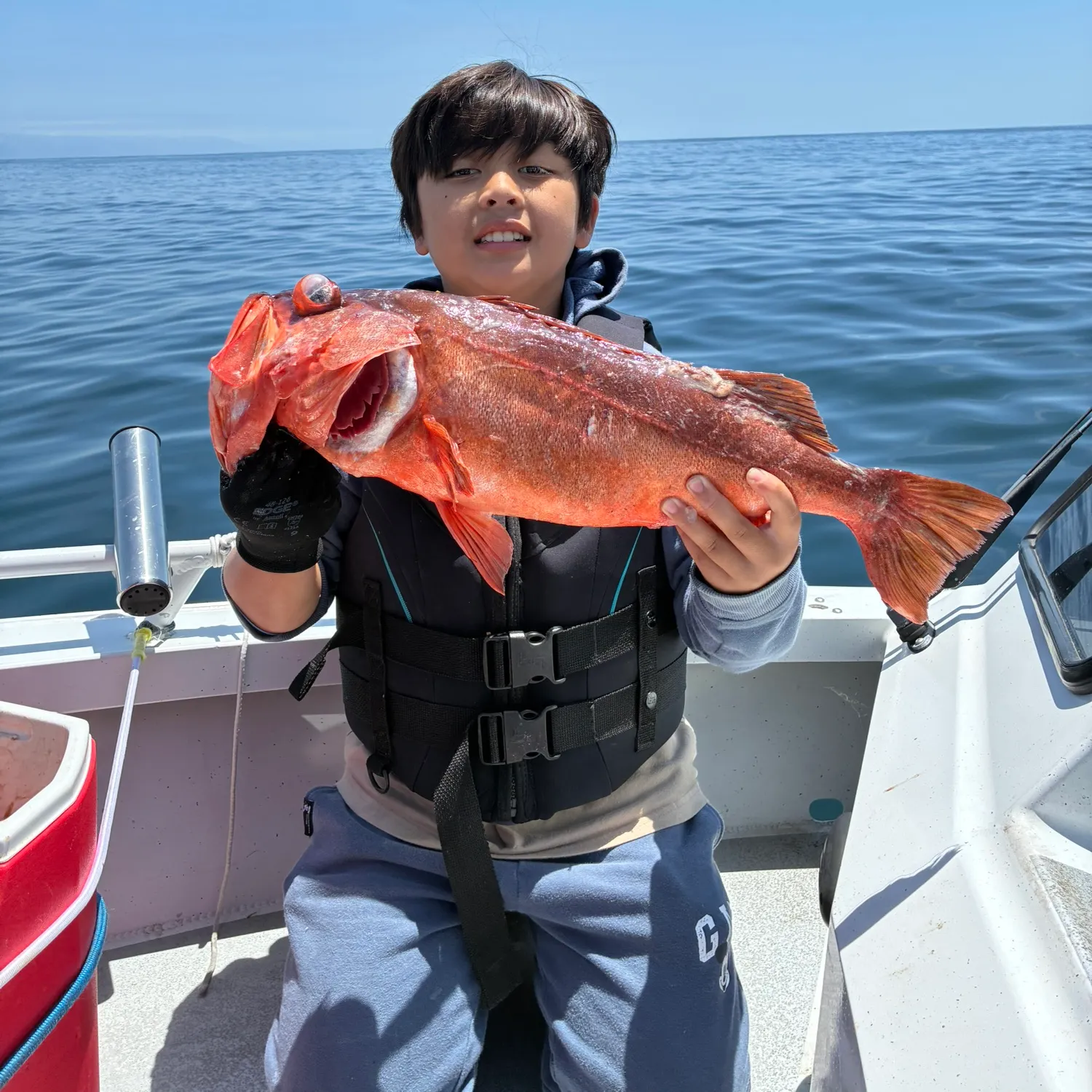 The most recent Bocaccio rockfish catches on Fishbrain