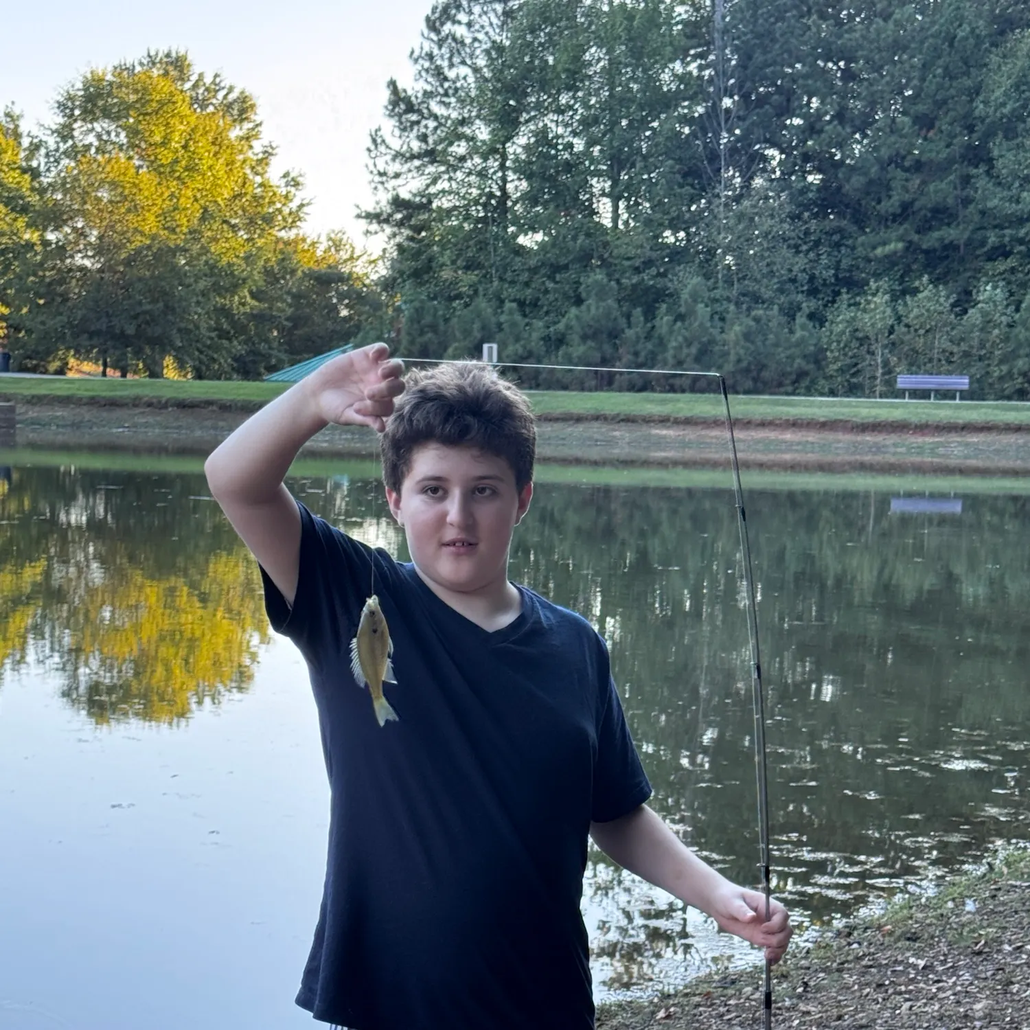 Bluegill caught on Fishbrain