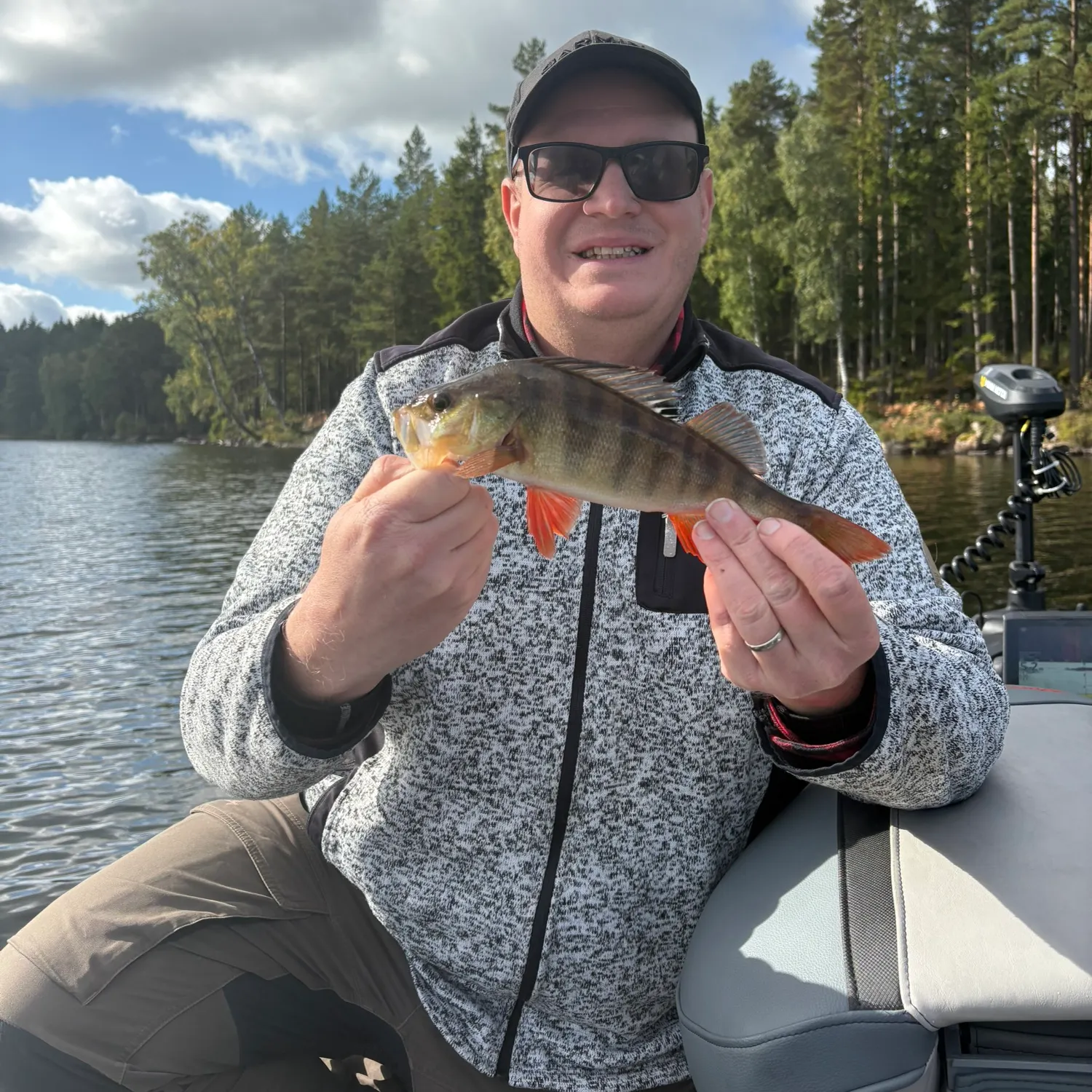 European perch caught on Fishbrain