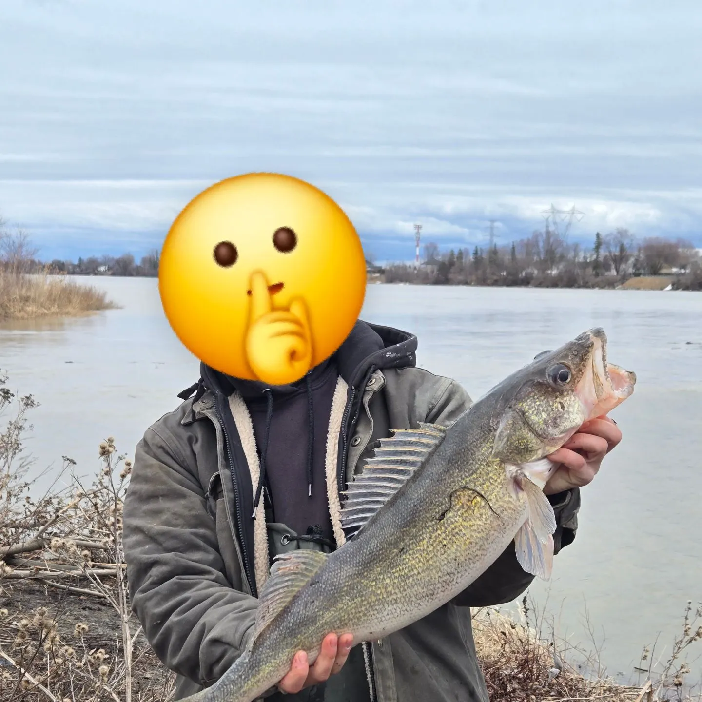The most recent Sauger catches on Fishbrain