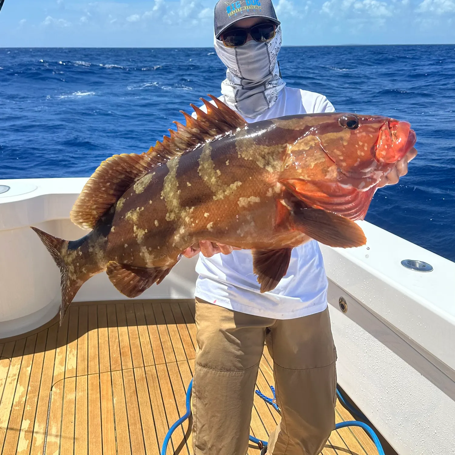 The most recent Nassau grouper catches on Fishbrain