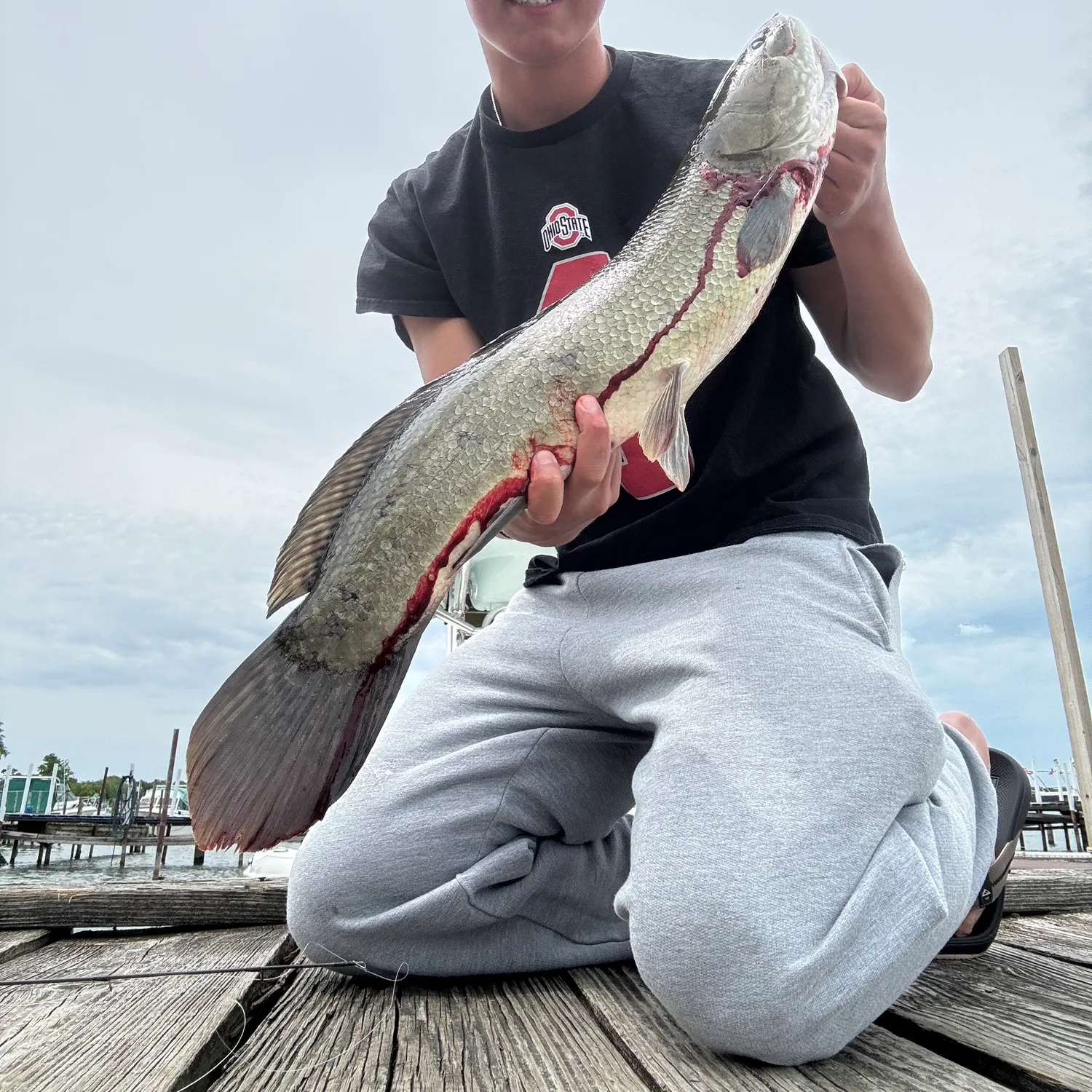 recently logged catches