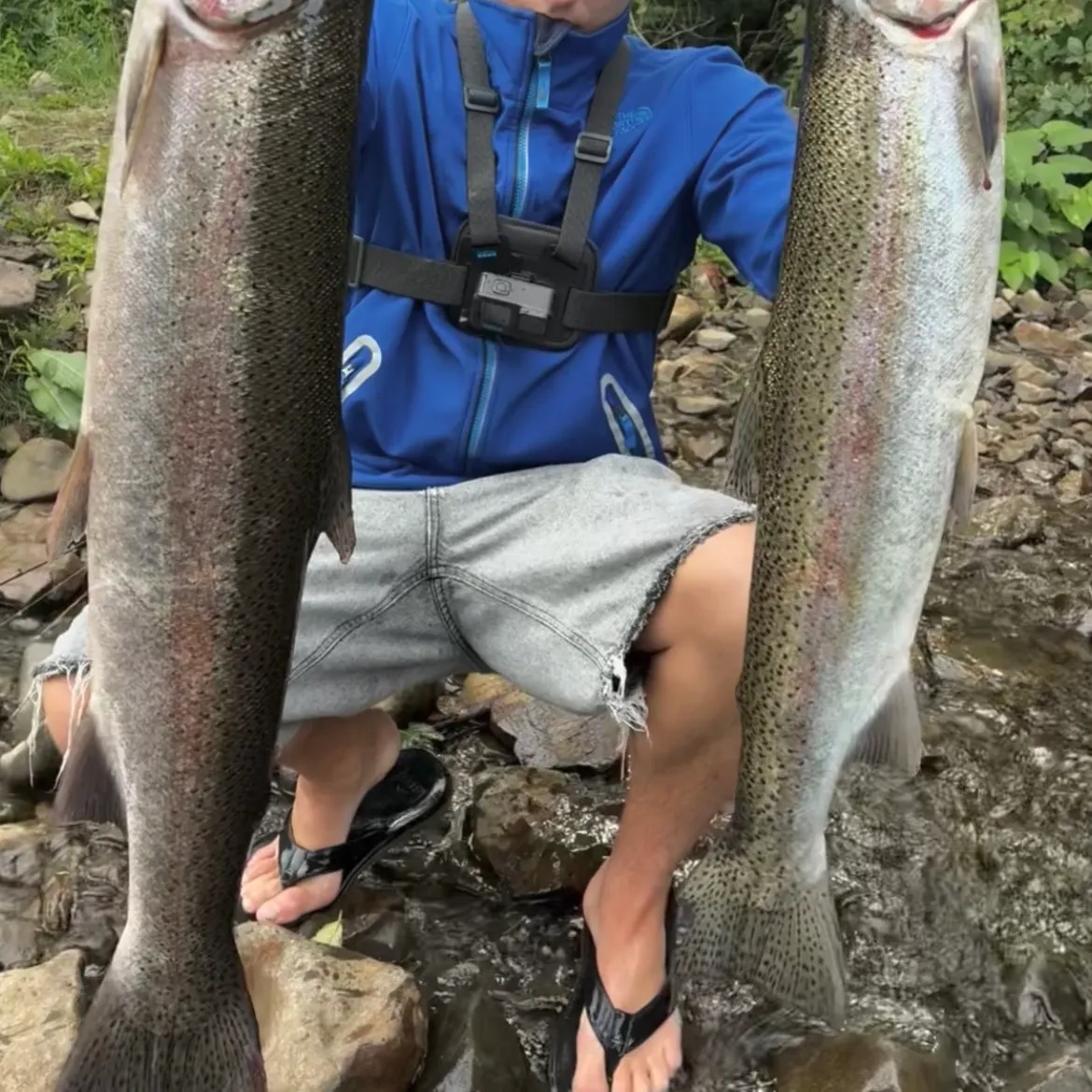 Steelhead caught on Fishbrain