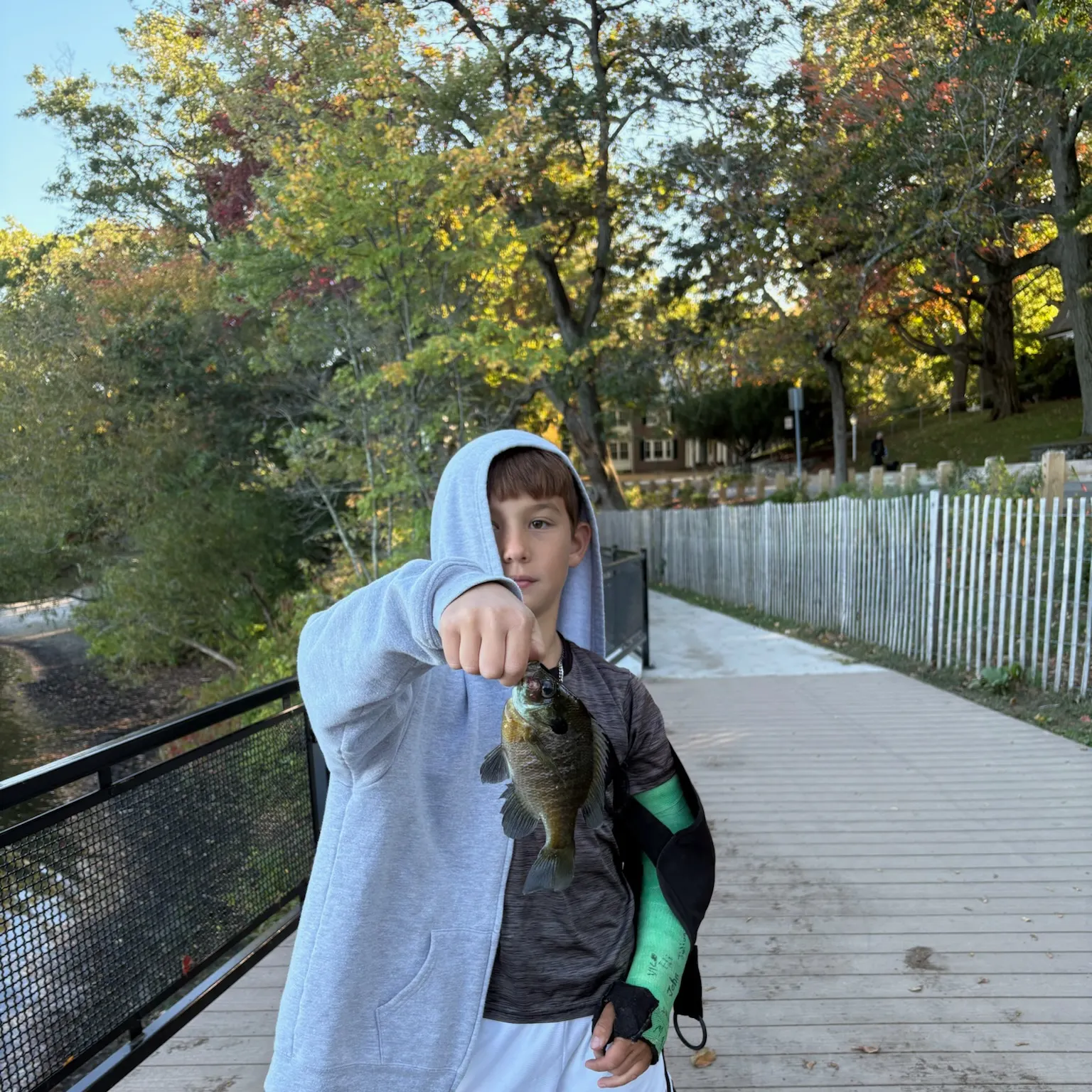 The most recent Banded sunfish catches on Fishbrain