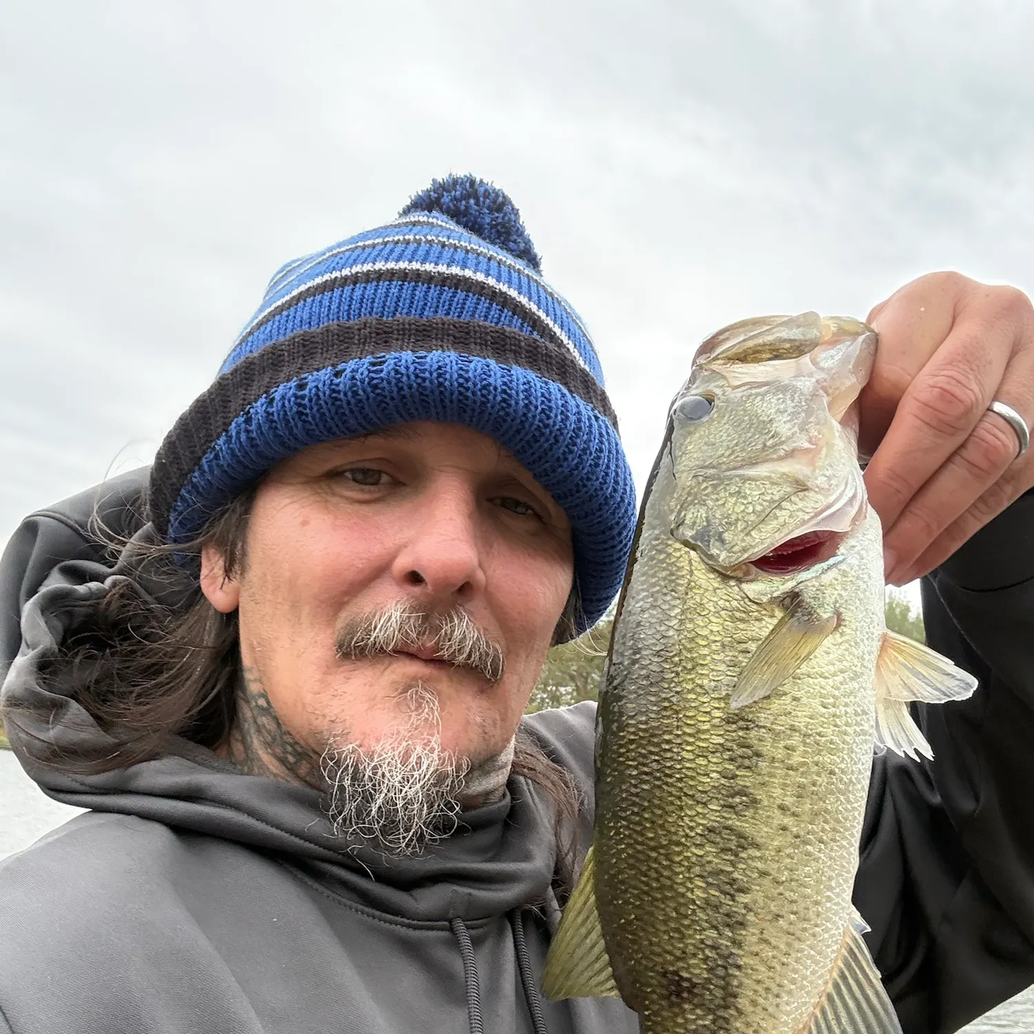 Fish caught on Fishbrain