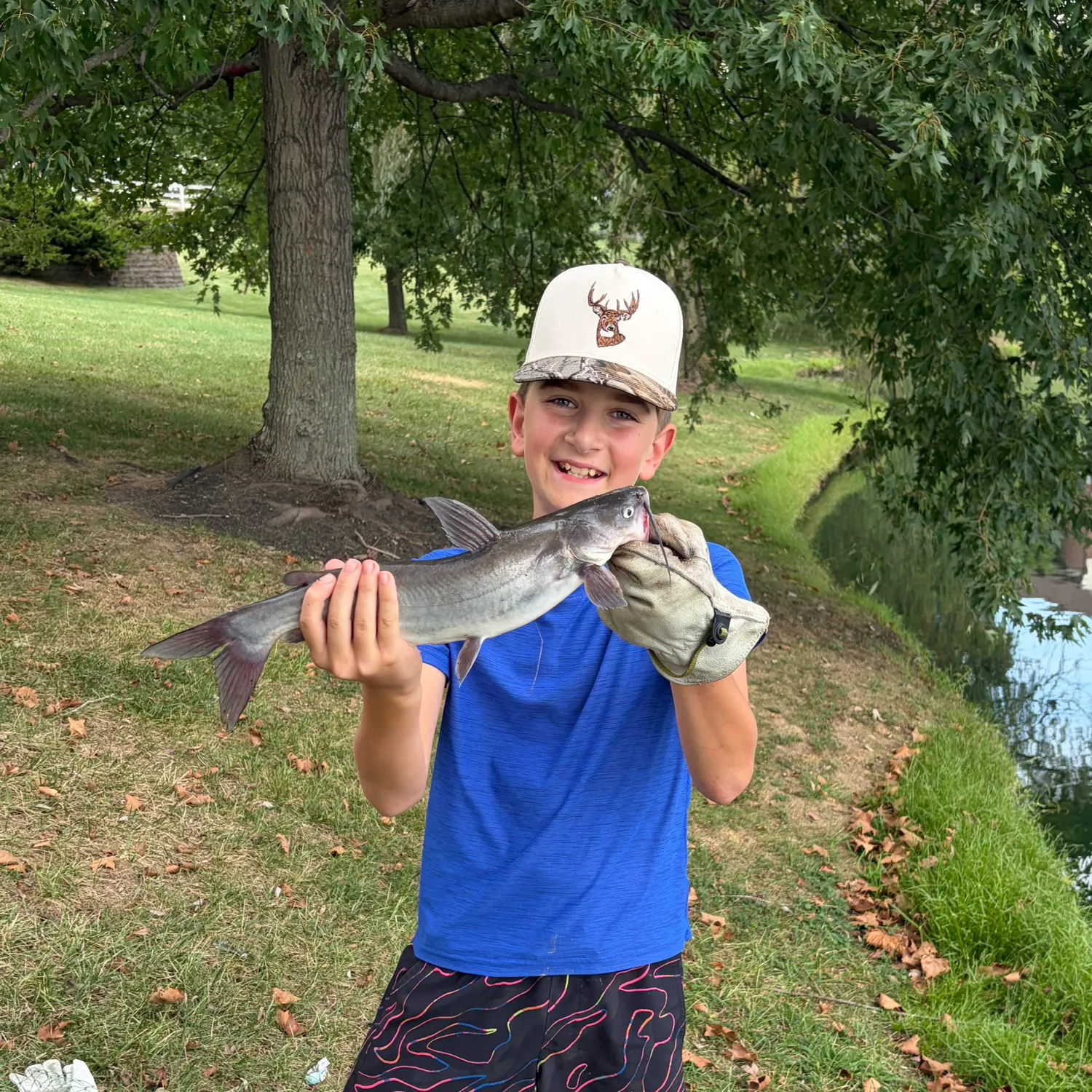 Channel catfish caught on Fishbrain