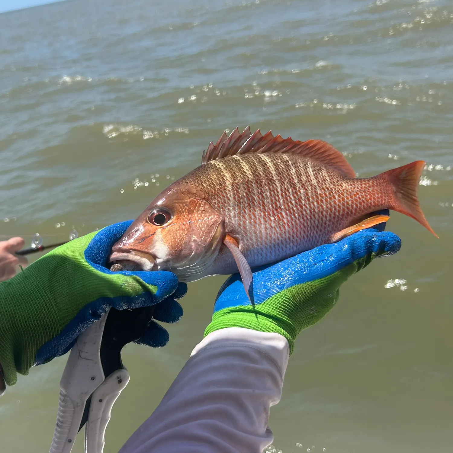 most liked catch image