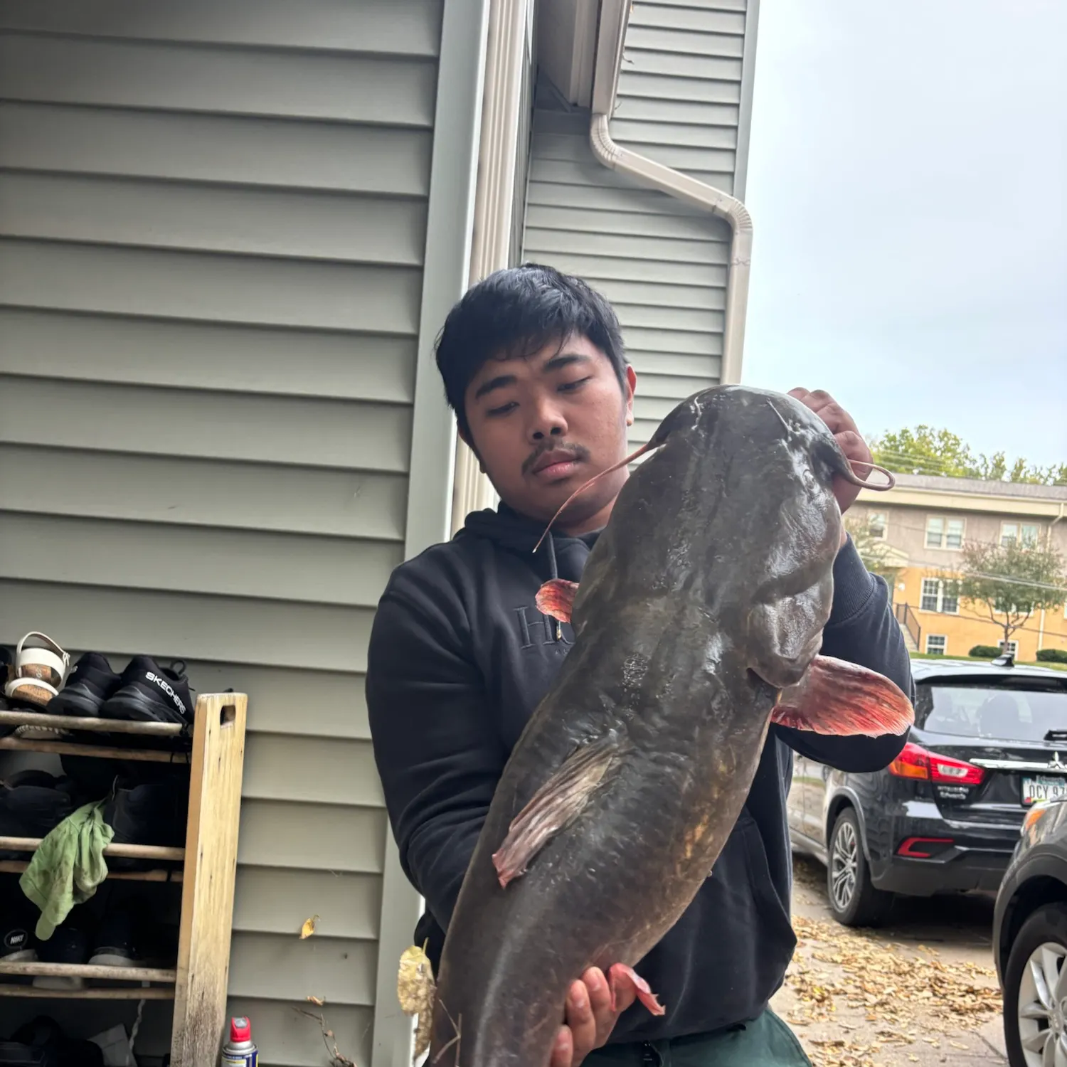 Flathead catfish caught on Fishbrain