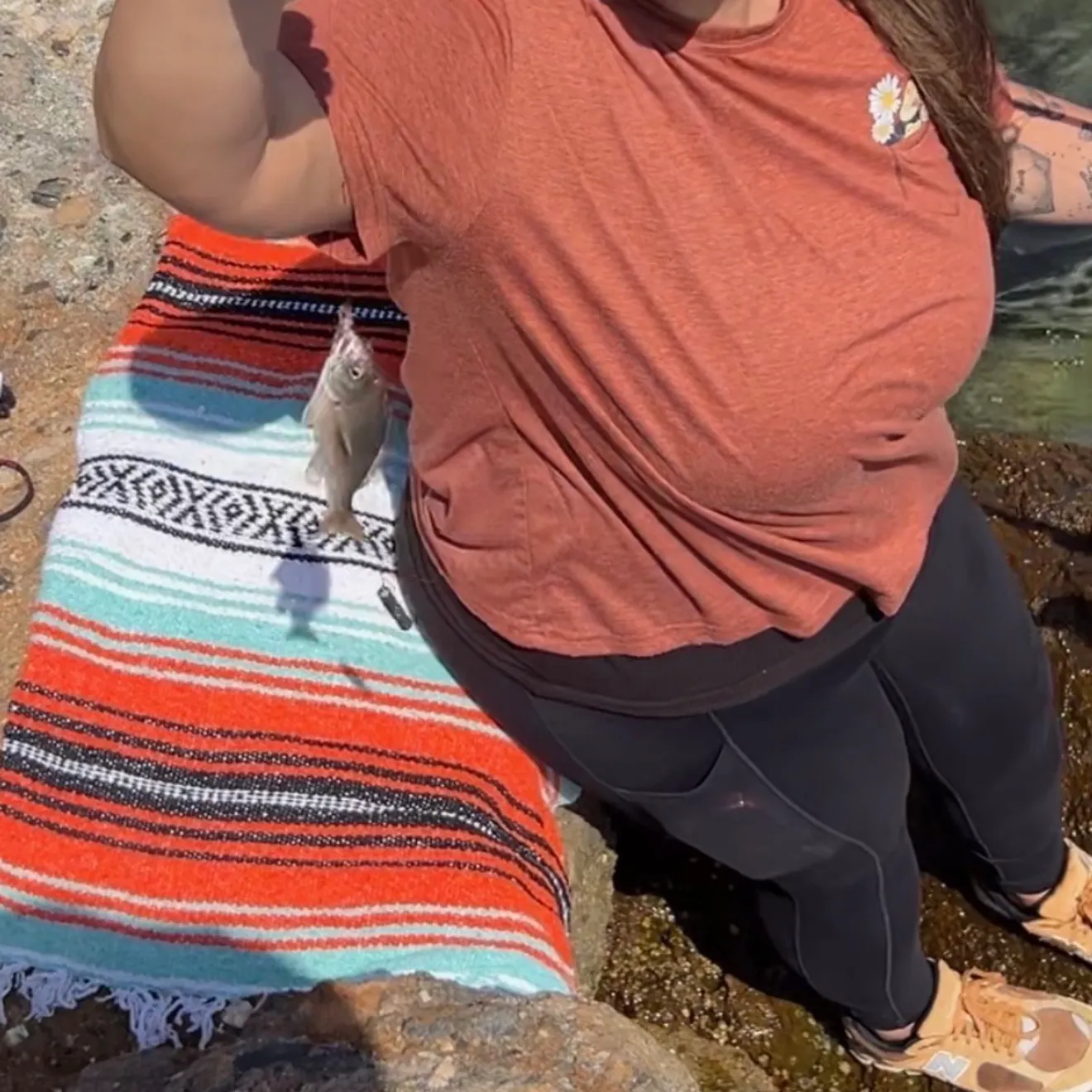 Walleye surfperch caught on Fishbrain