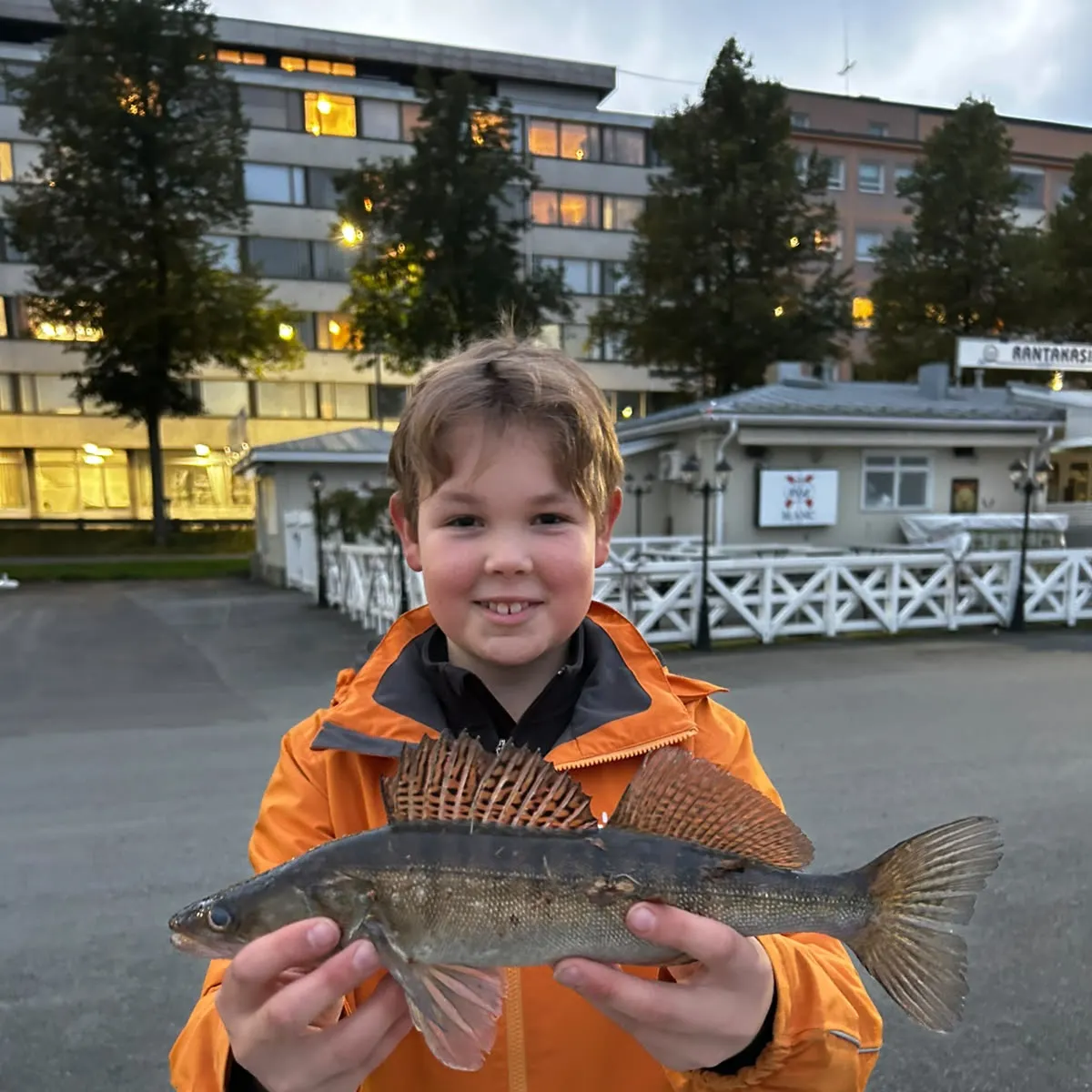 Zander caught on Fishbrain