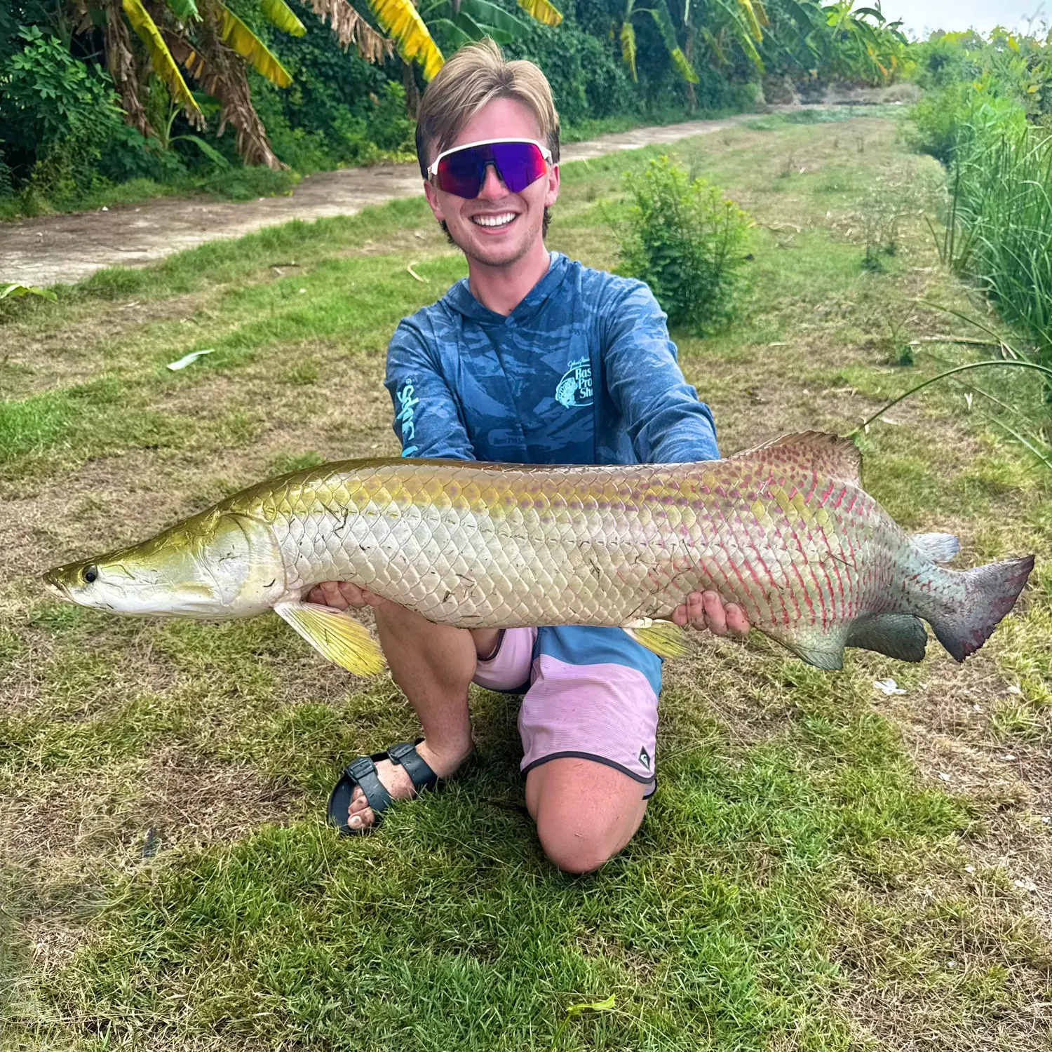 The most recent Arapaima catches on Fishbrain
