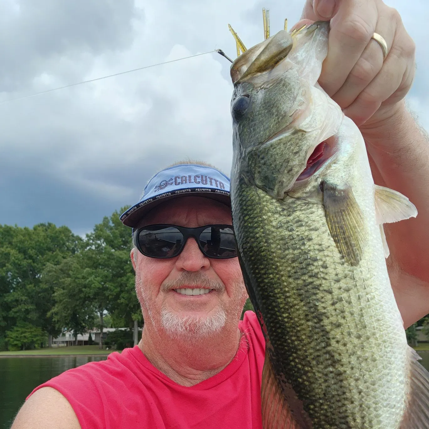 Black crappie caught on Fishbrain