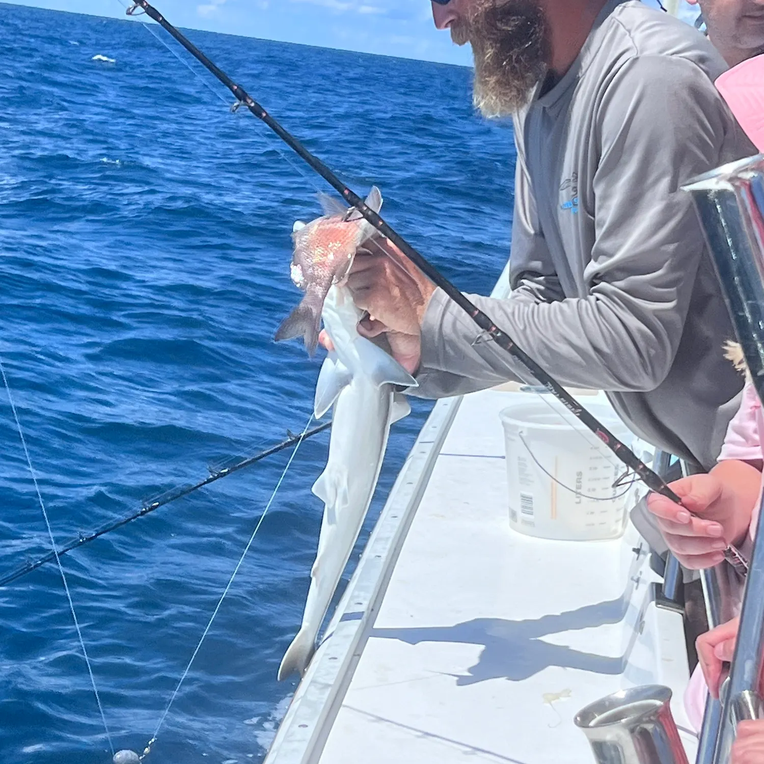 The most recent Silky shark catches on Fishbrain