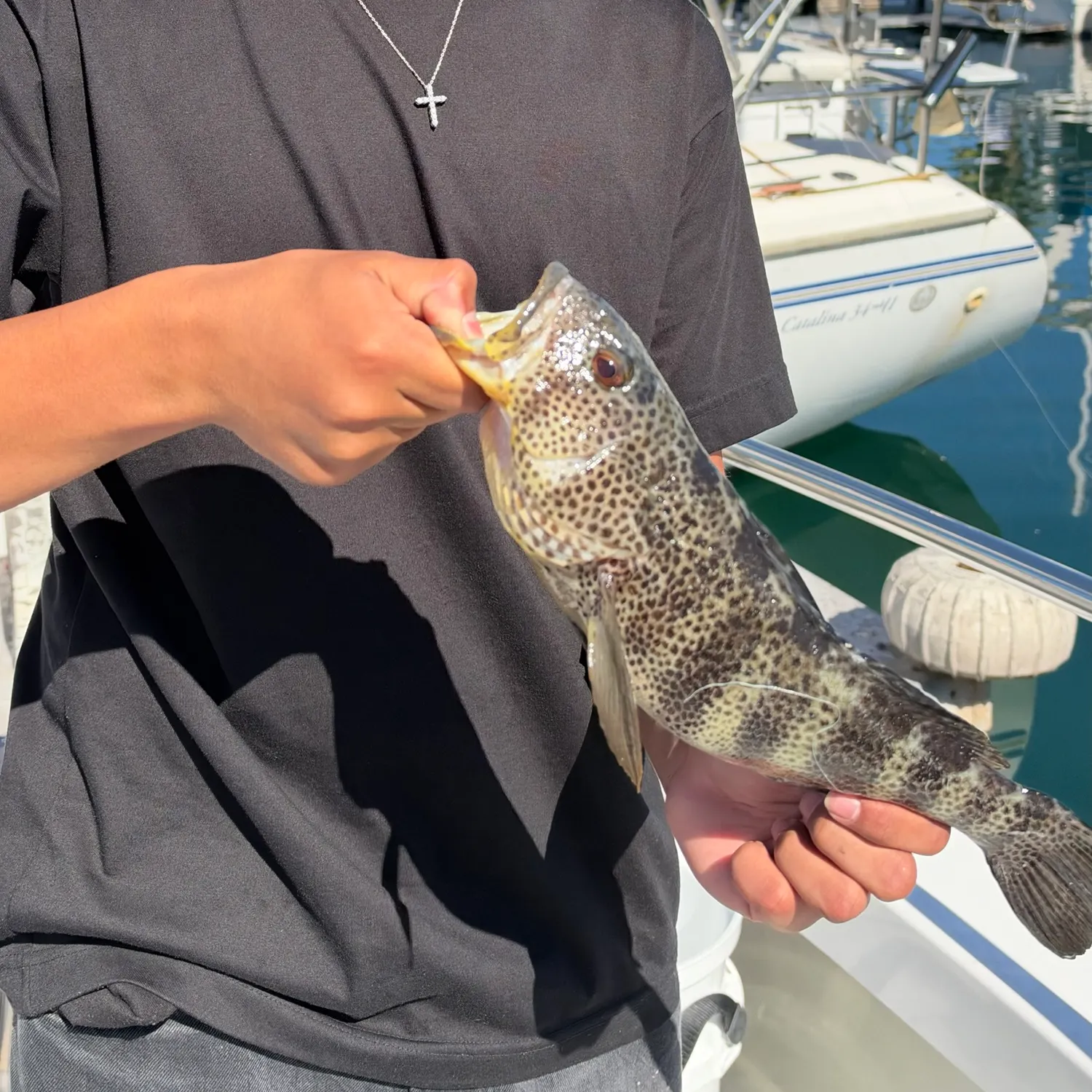Fish caught on Fishbrain