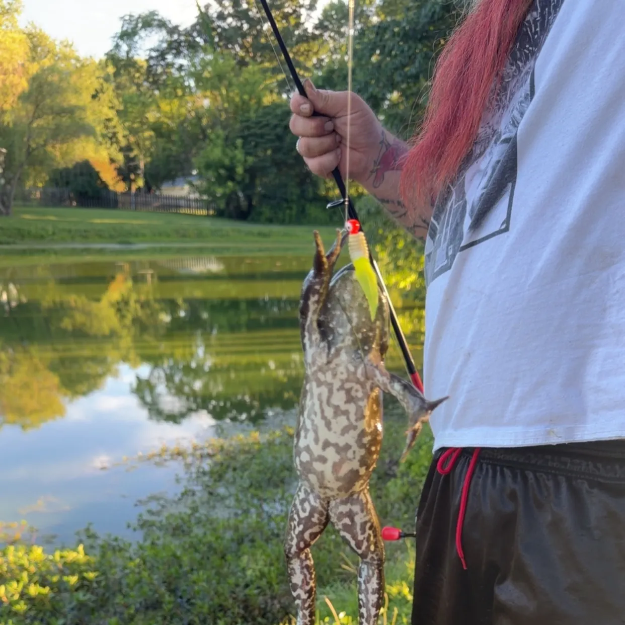 catch