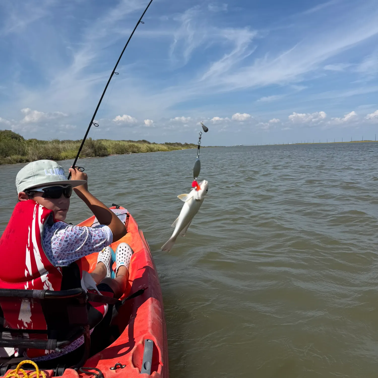 Spotfin croaker caught on Fishbrain