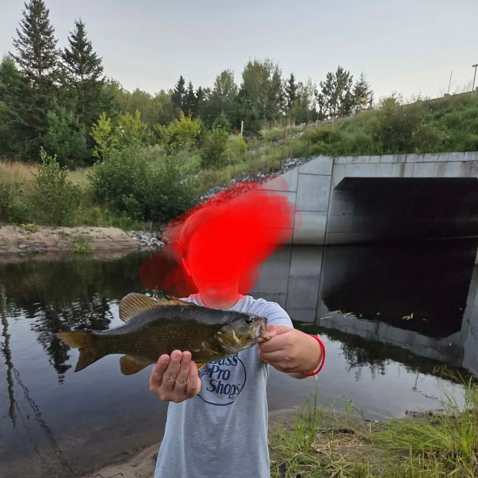 Smallmouth bass caught on Fishbrain