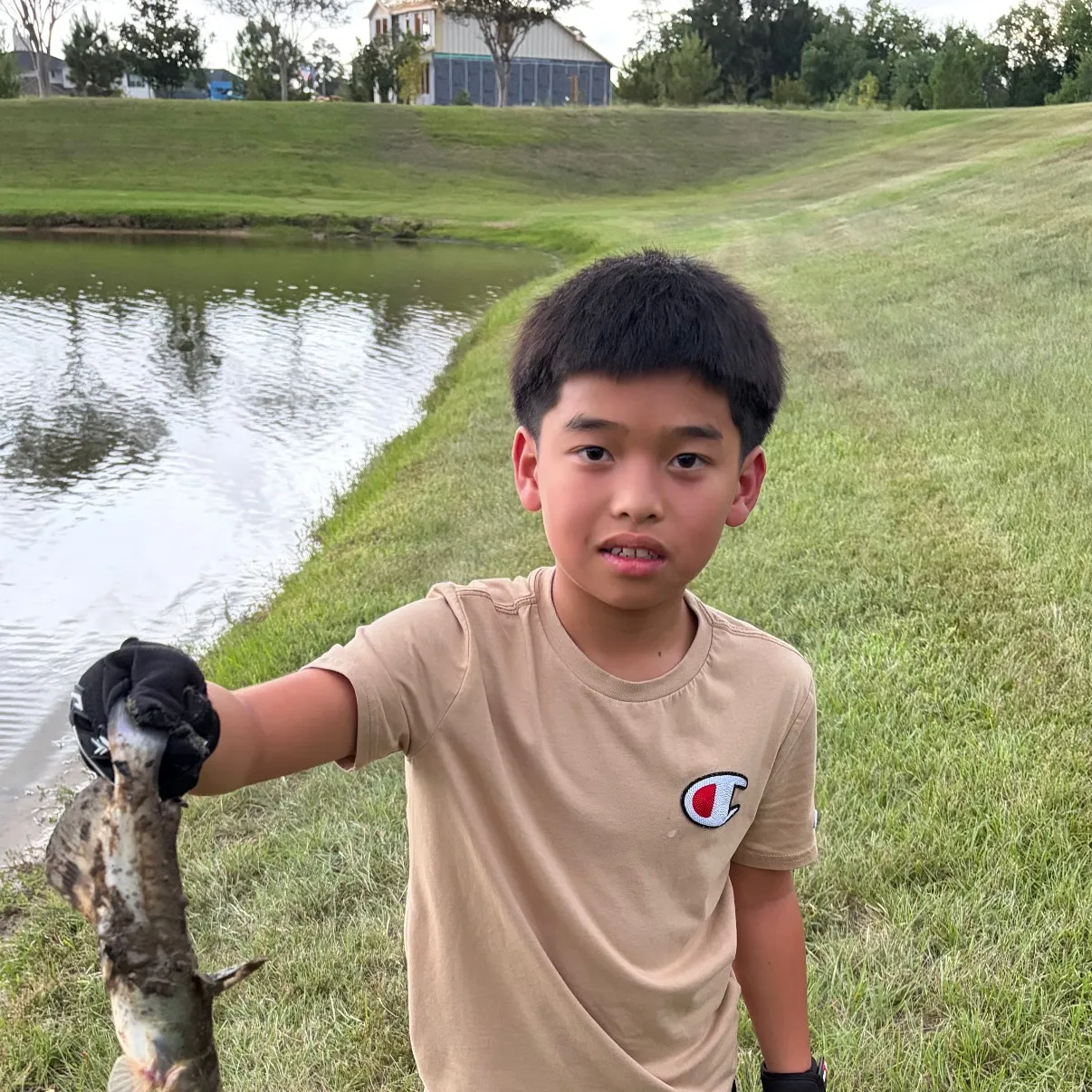 Channel catfish caught on Fishbrain