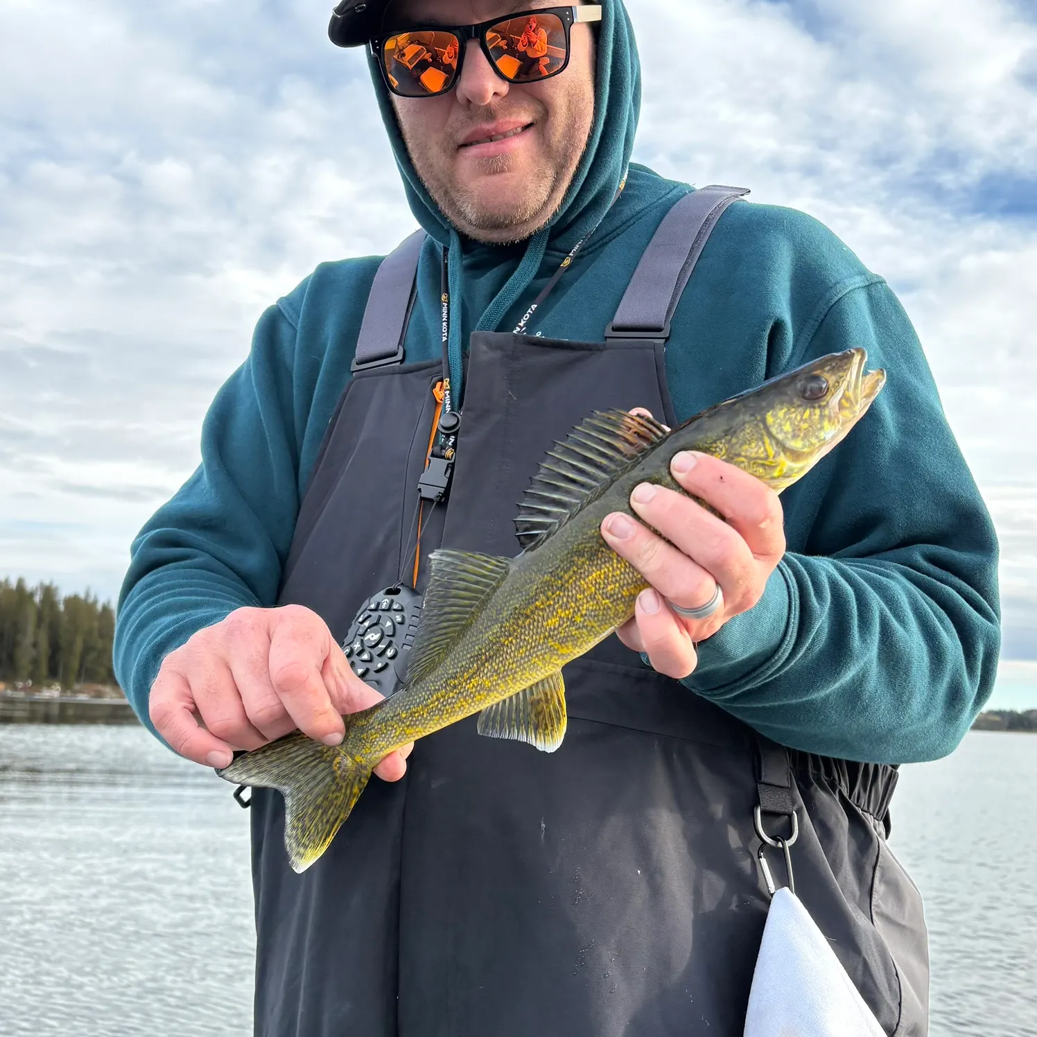 Walleye caught on Fishbrain