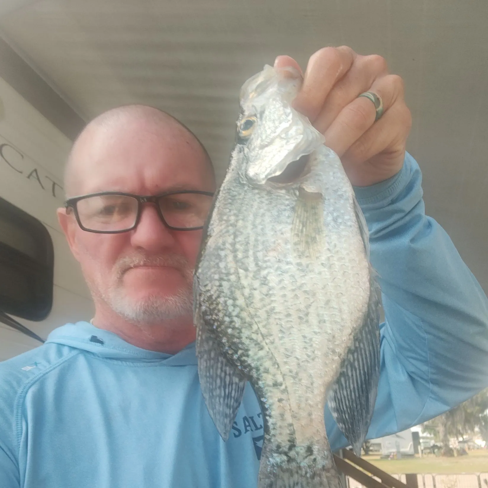 The most recent Black crappie catches on Fishbrain