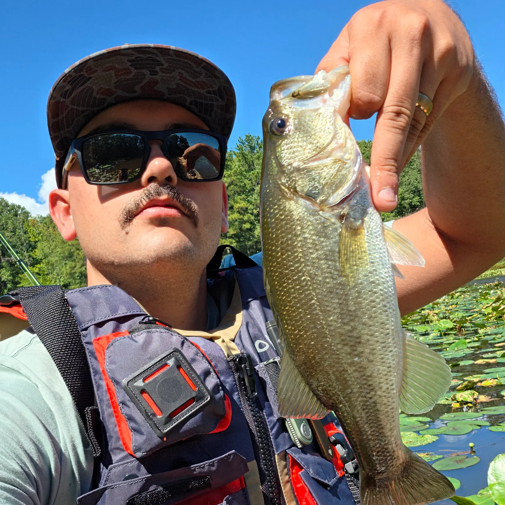 Largemouth bass caught on Fishbrain