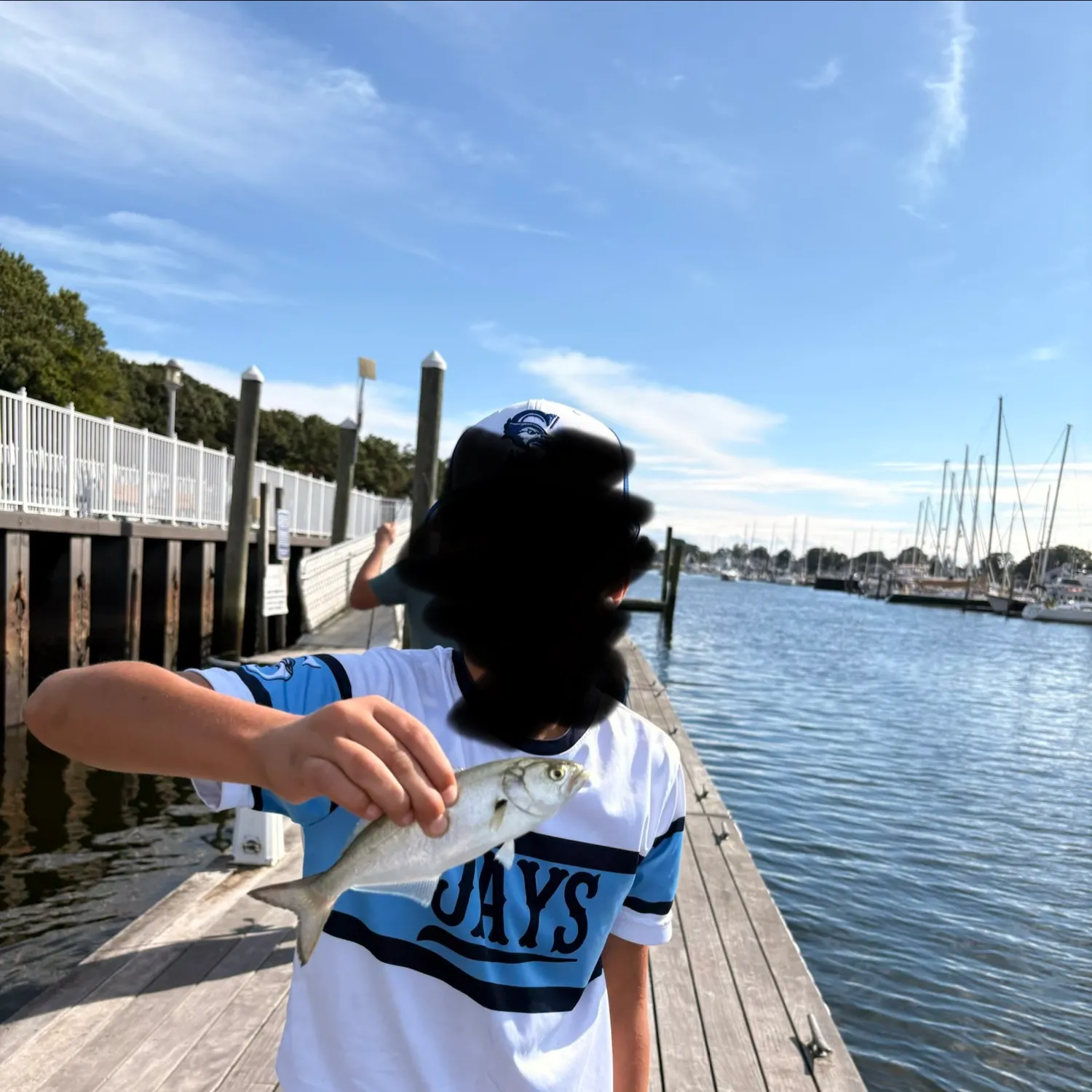 Bluefish caught on Fishbrain