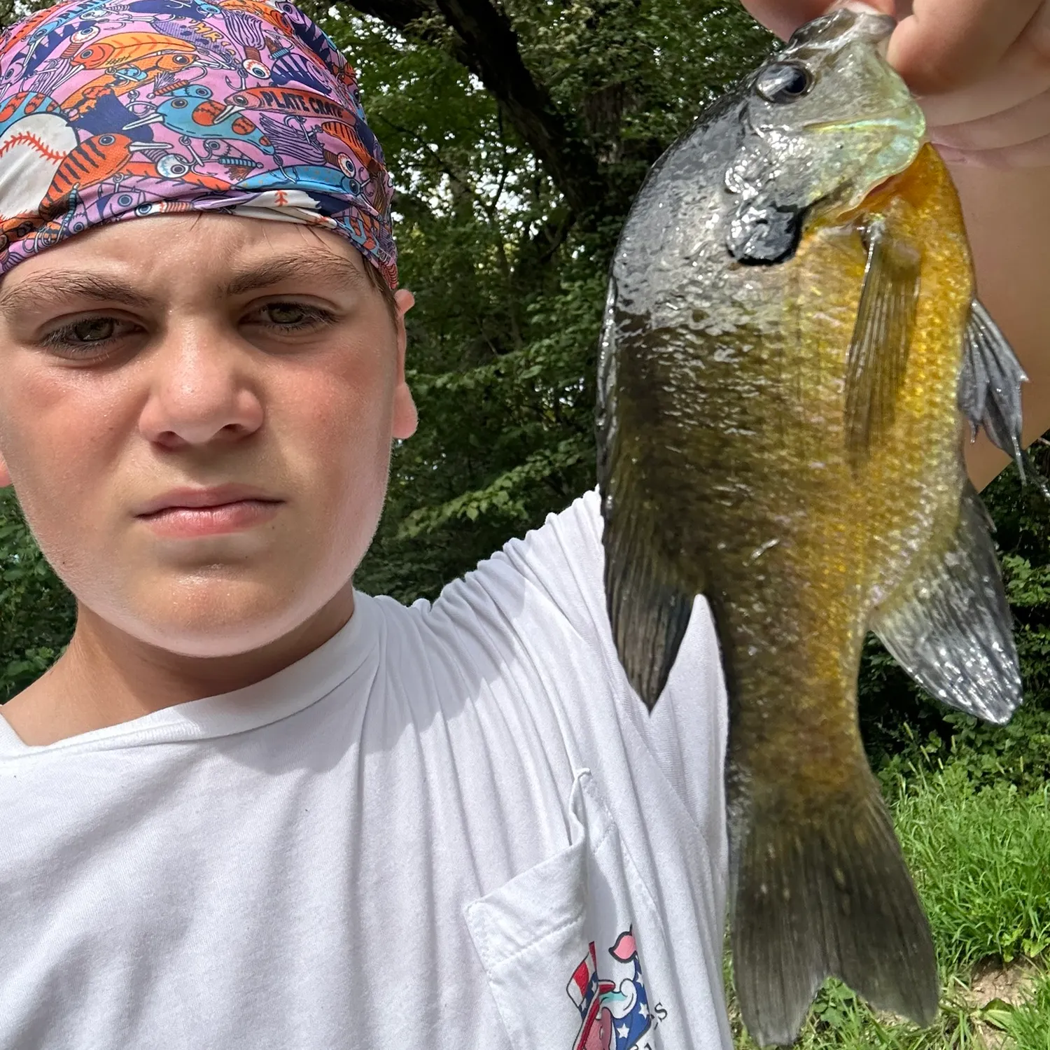 Bluegill caught on Fishbrain