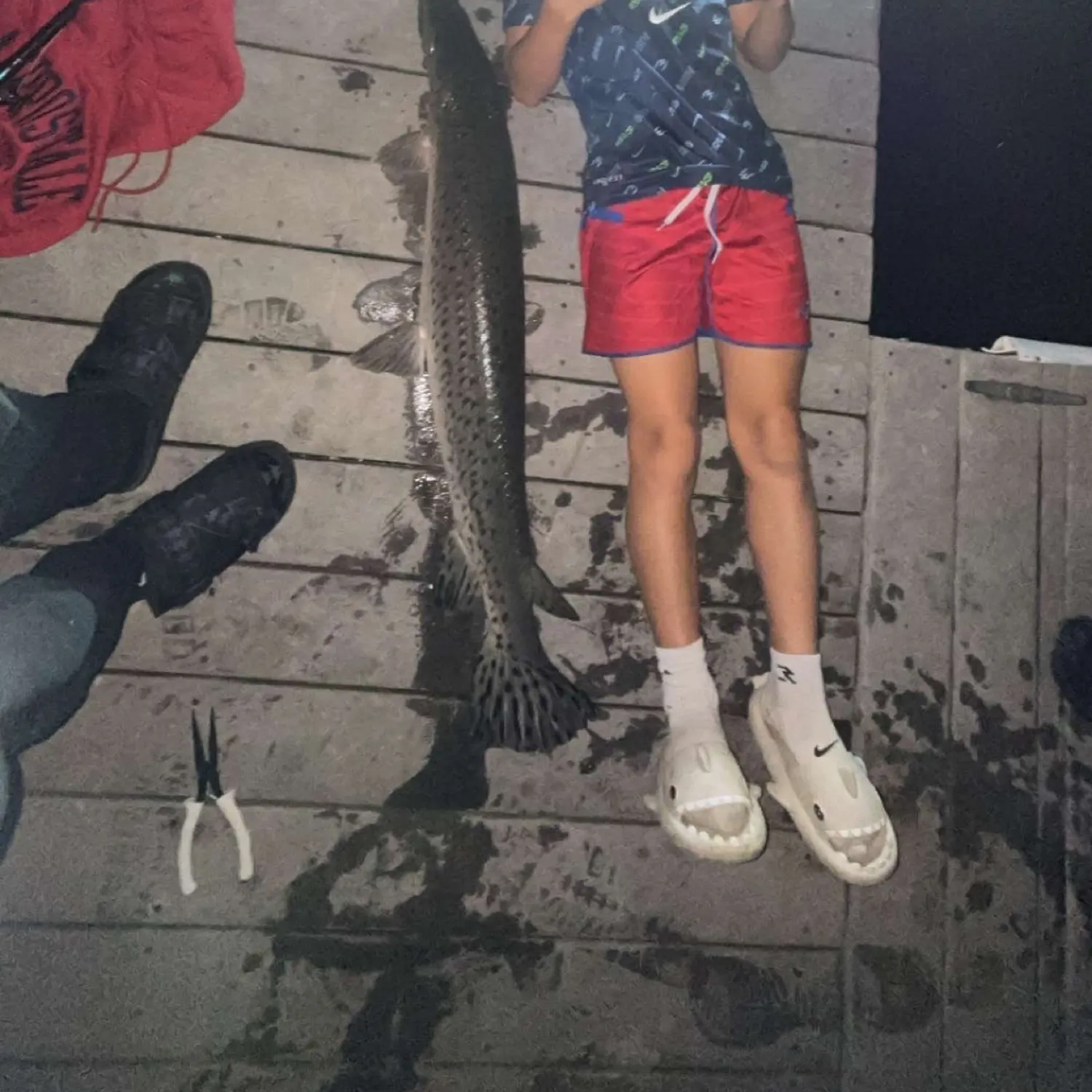 The most recent Alligator gar catches on Fishbrain