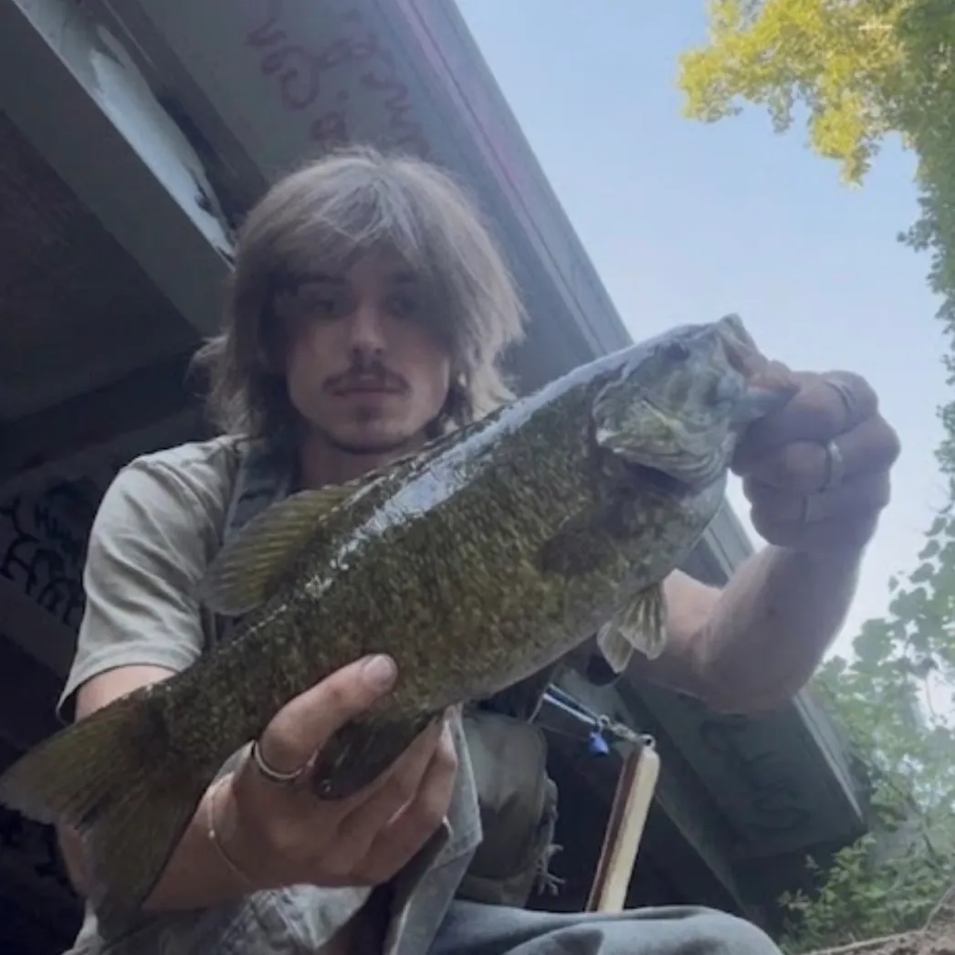 Smallmouth bass caught on Fishbrain