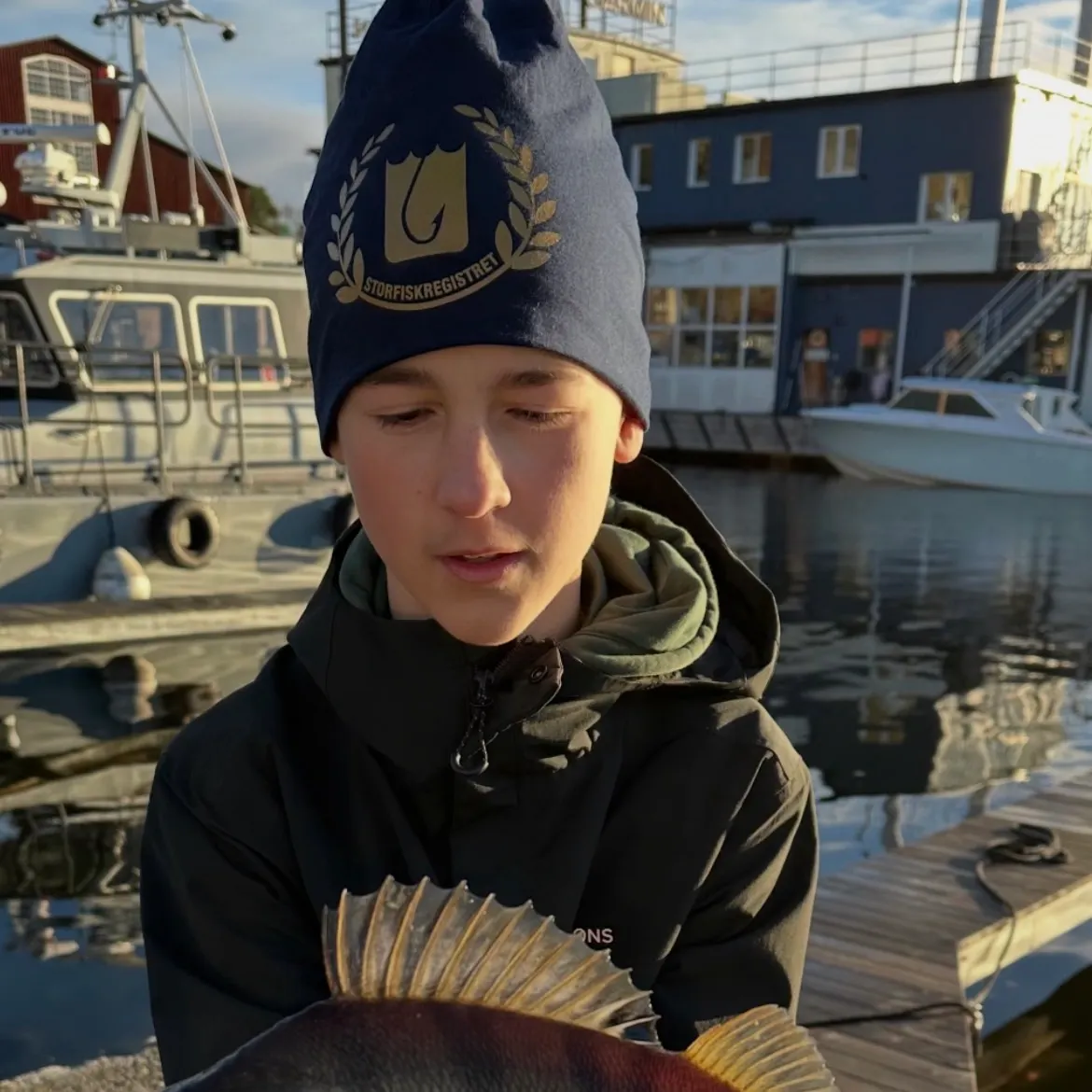 European perch caught on Fishbrain