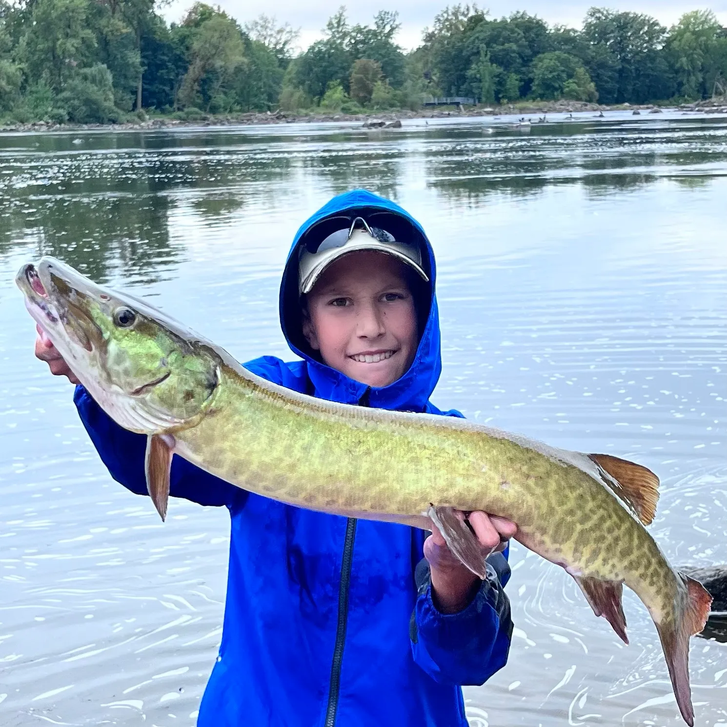 The most recent Muskie catches on Fishbrain