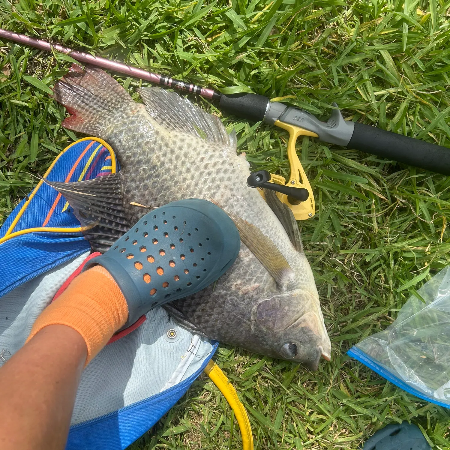 catch