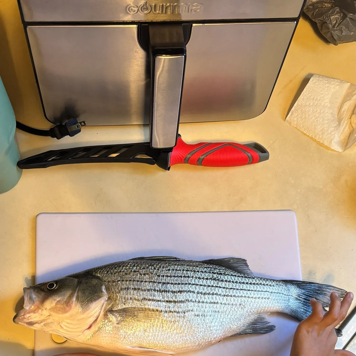 Wiper caught on Fishbrain