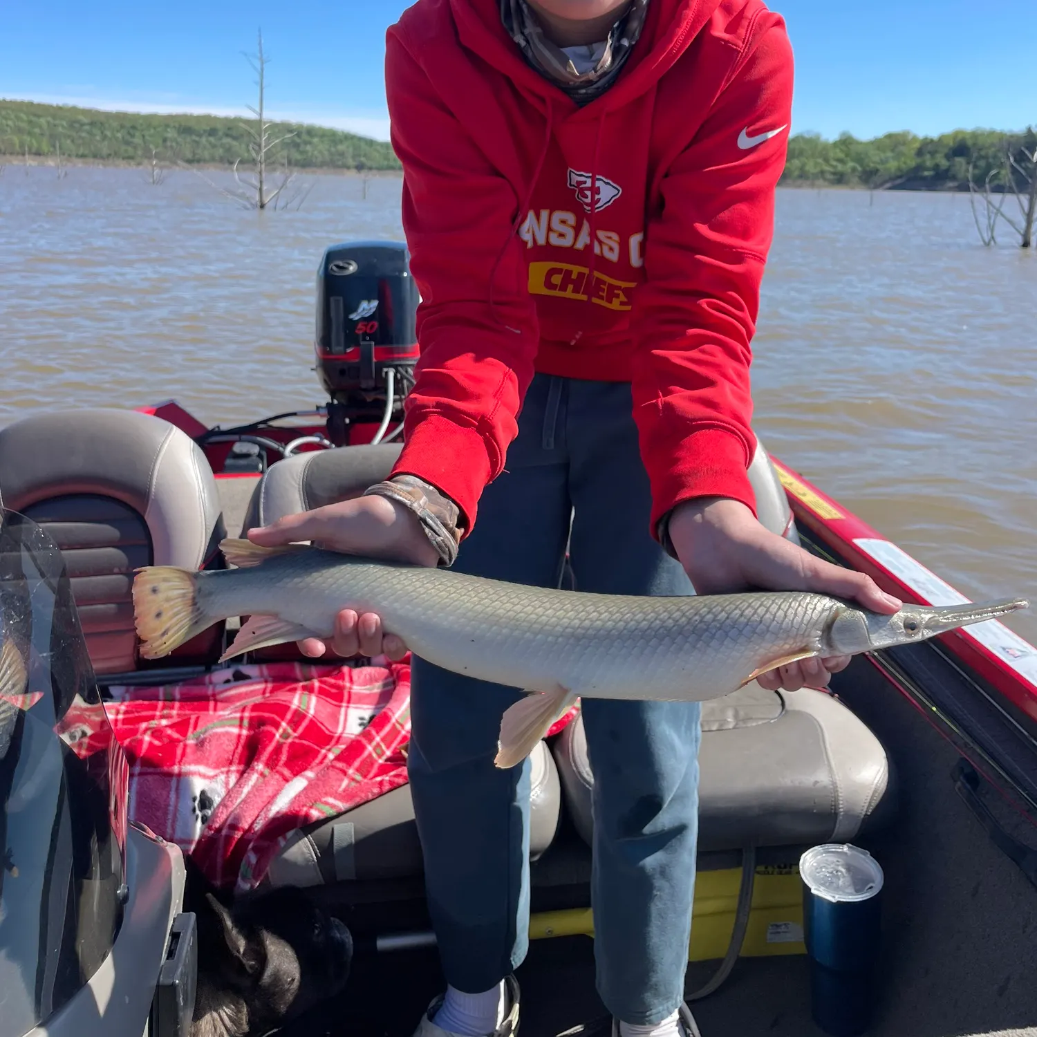 The most recent Shortnose gar catches on Fishbrain