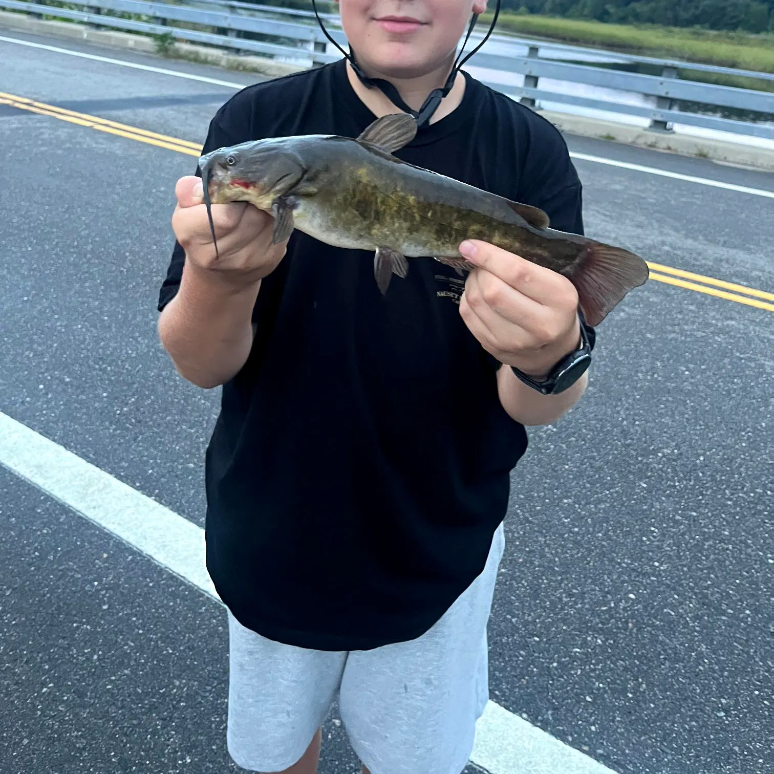 Brown bullhead caught on Fishbrain