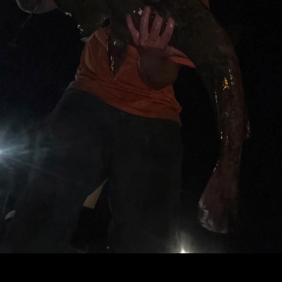 Flathead catfish caught on Fishbrain