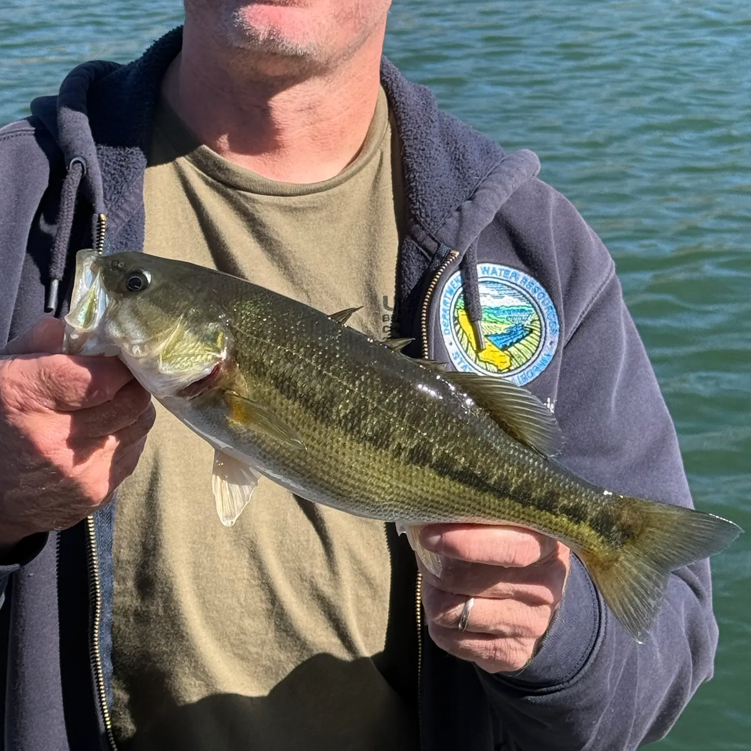 Spotted bass caught on Fishbrain