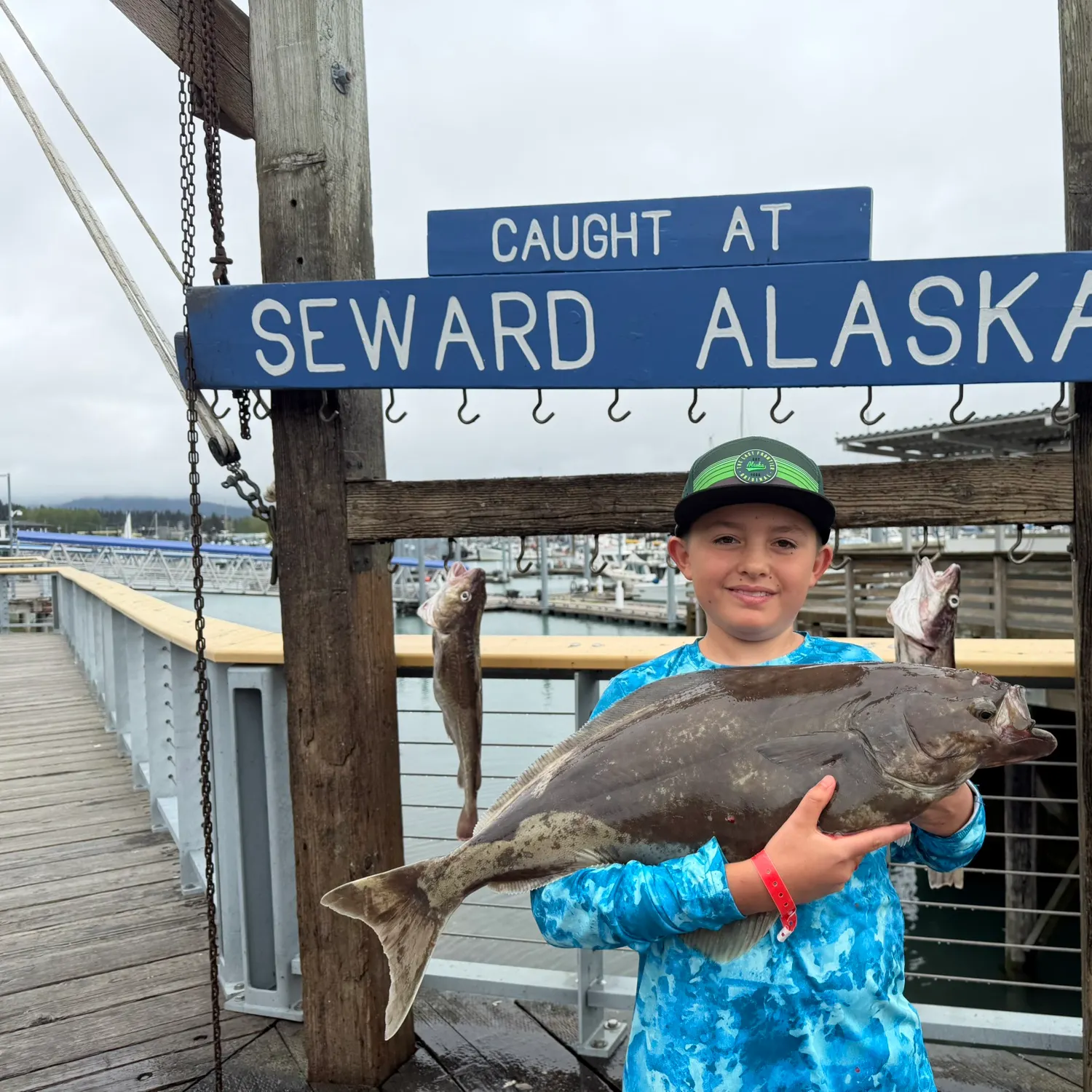 The most recent Atlantic halibut catches on Fishbrain