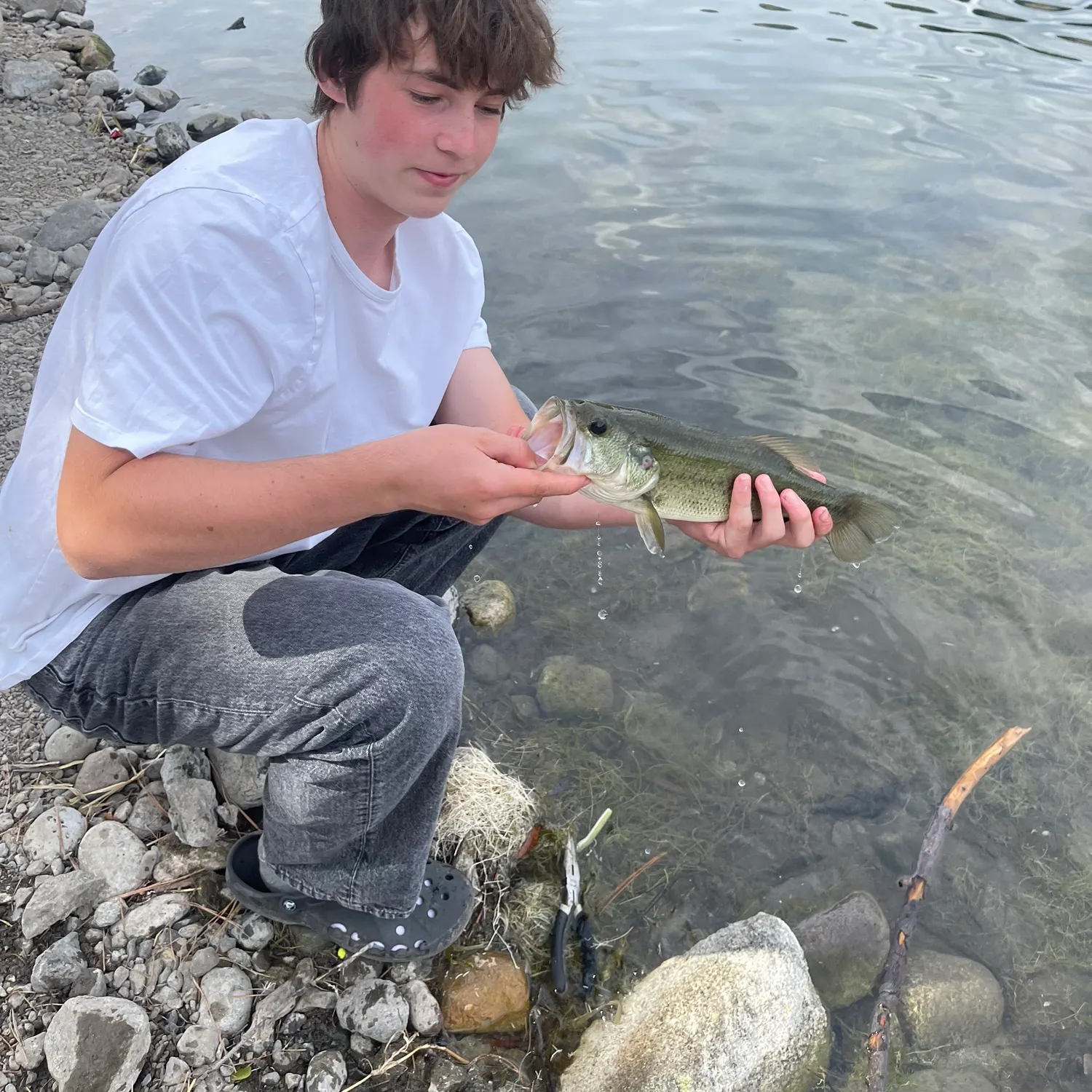 Largemouth bass caught on Fishbrain